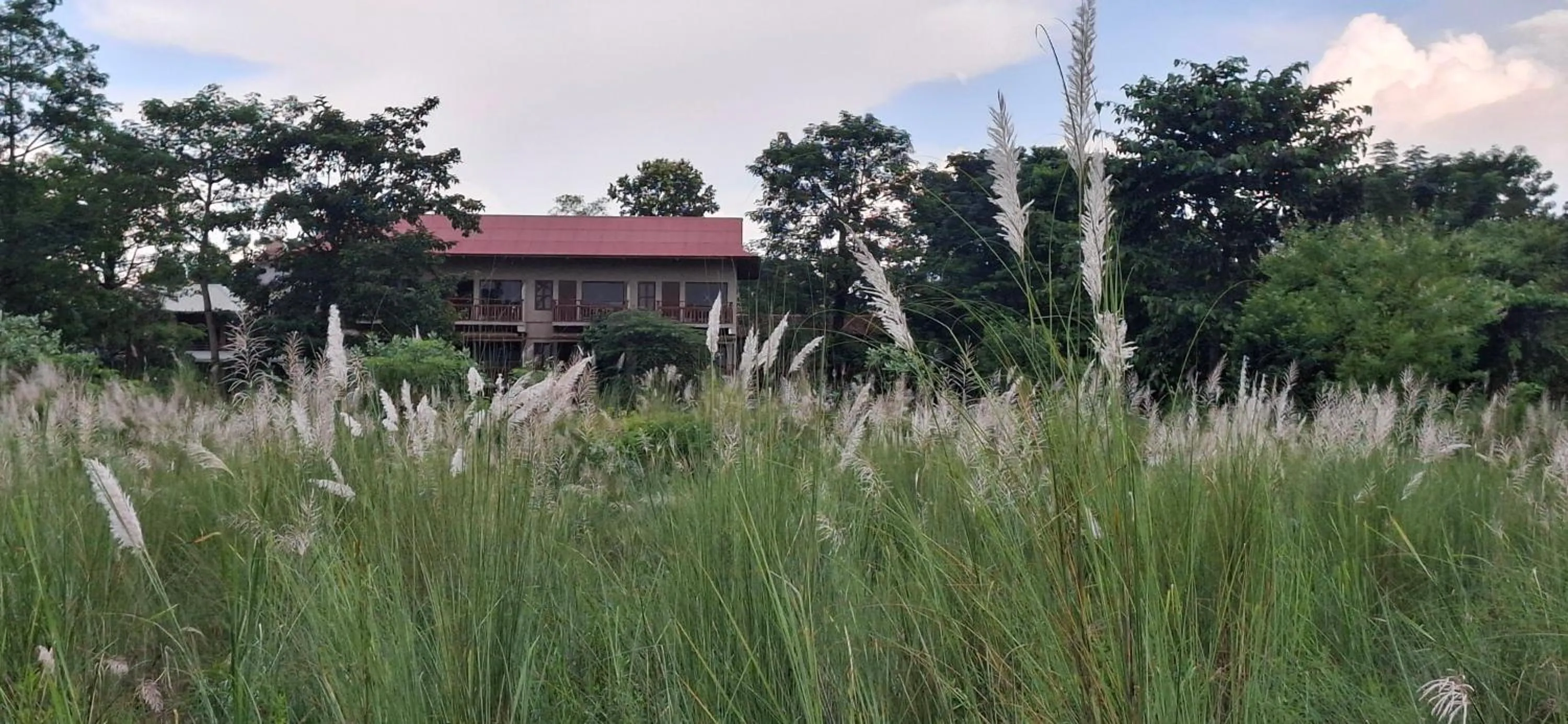 Property building in River View Jungle Camp