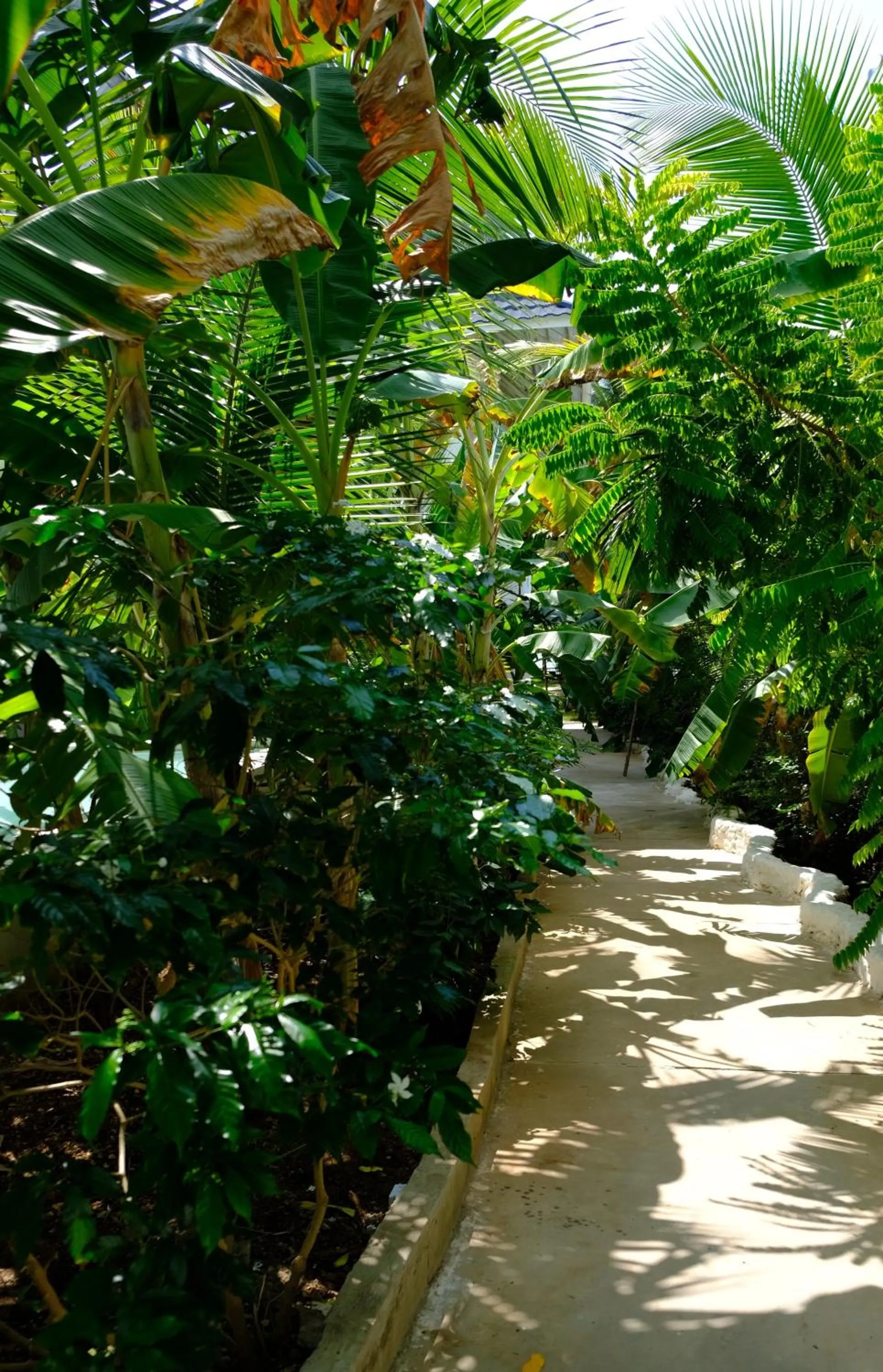 Natural landscape in Kobe House