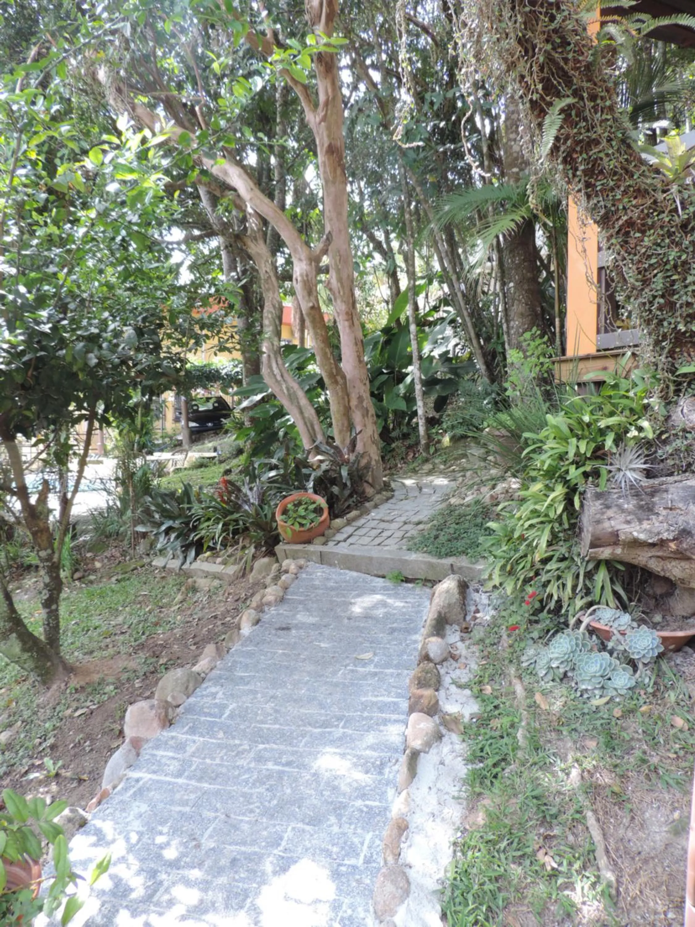 Garden view in La Luna