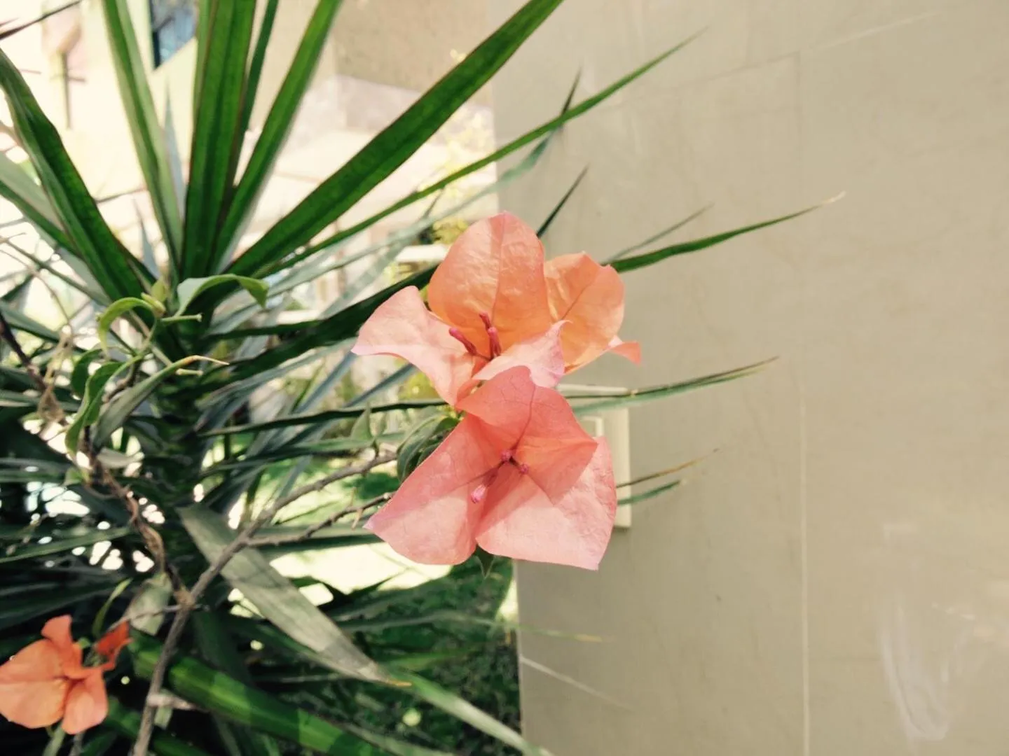 Natural landscape in Hotel Cuellar