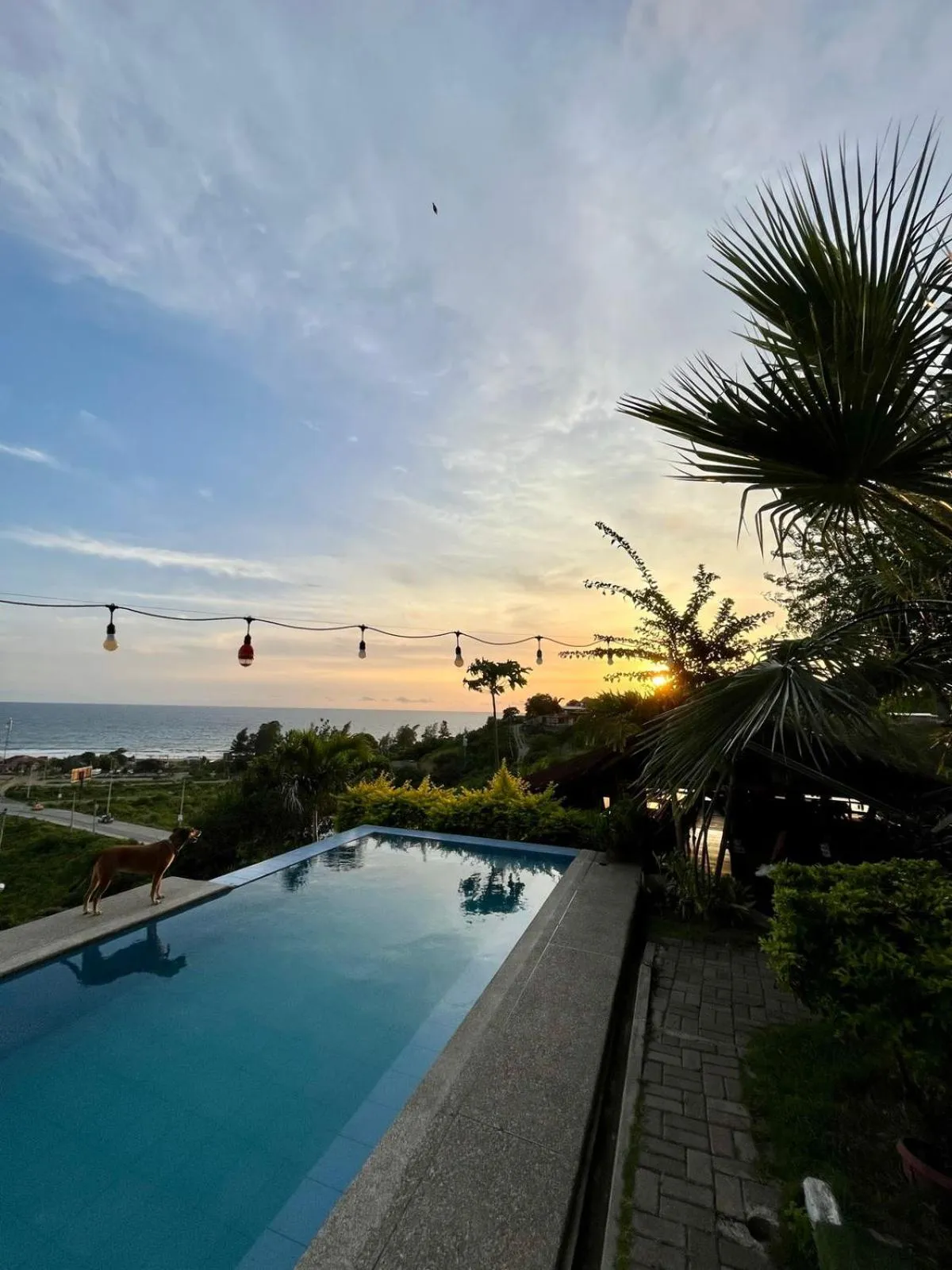 Natural landscape in Punta Hills Montanita