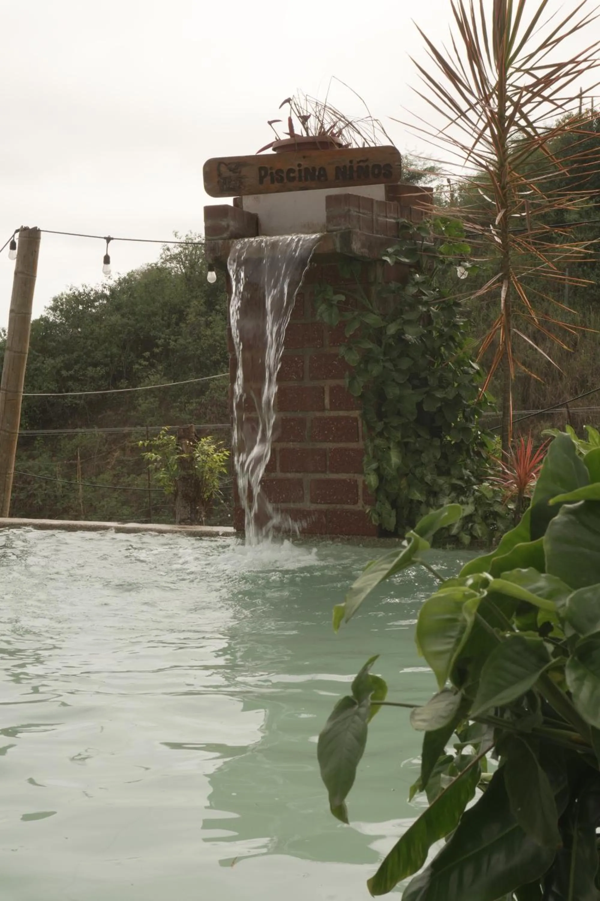 Garden in Punta Hills Montanita