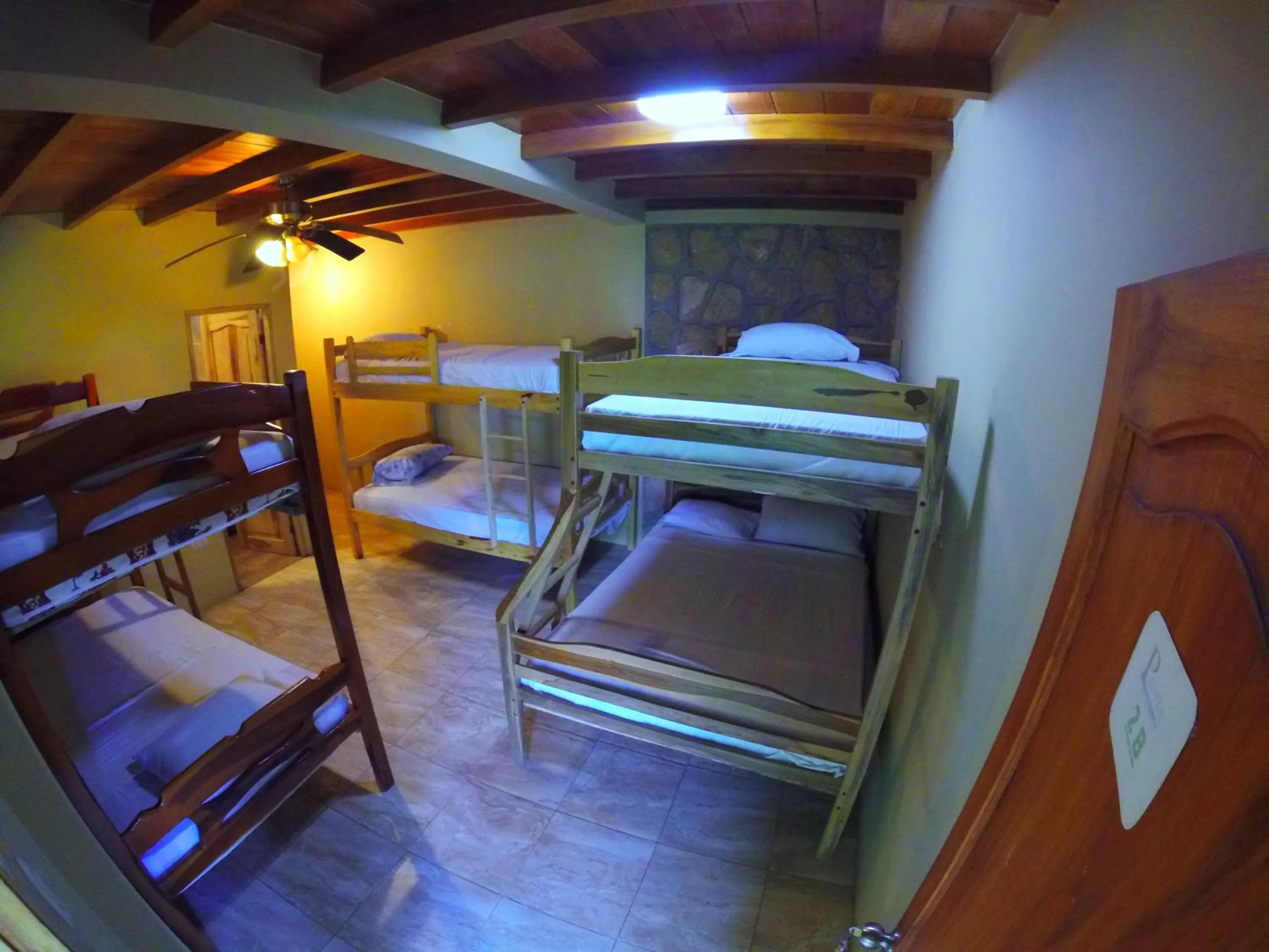 bunk bed, Bed in Punta Hills Montanita