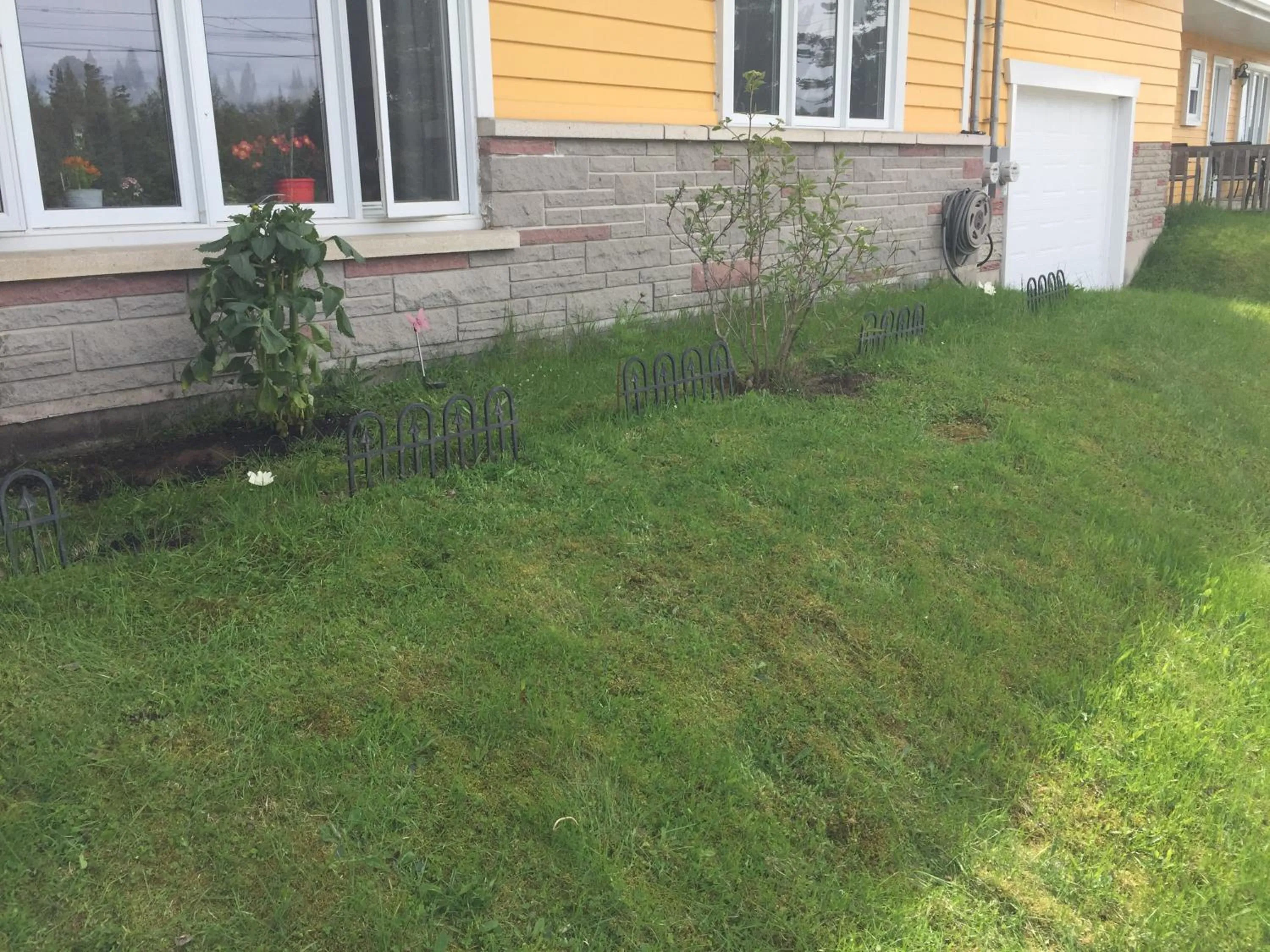 Garden view in Motel 149