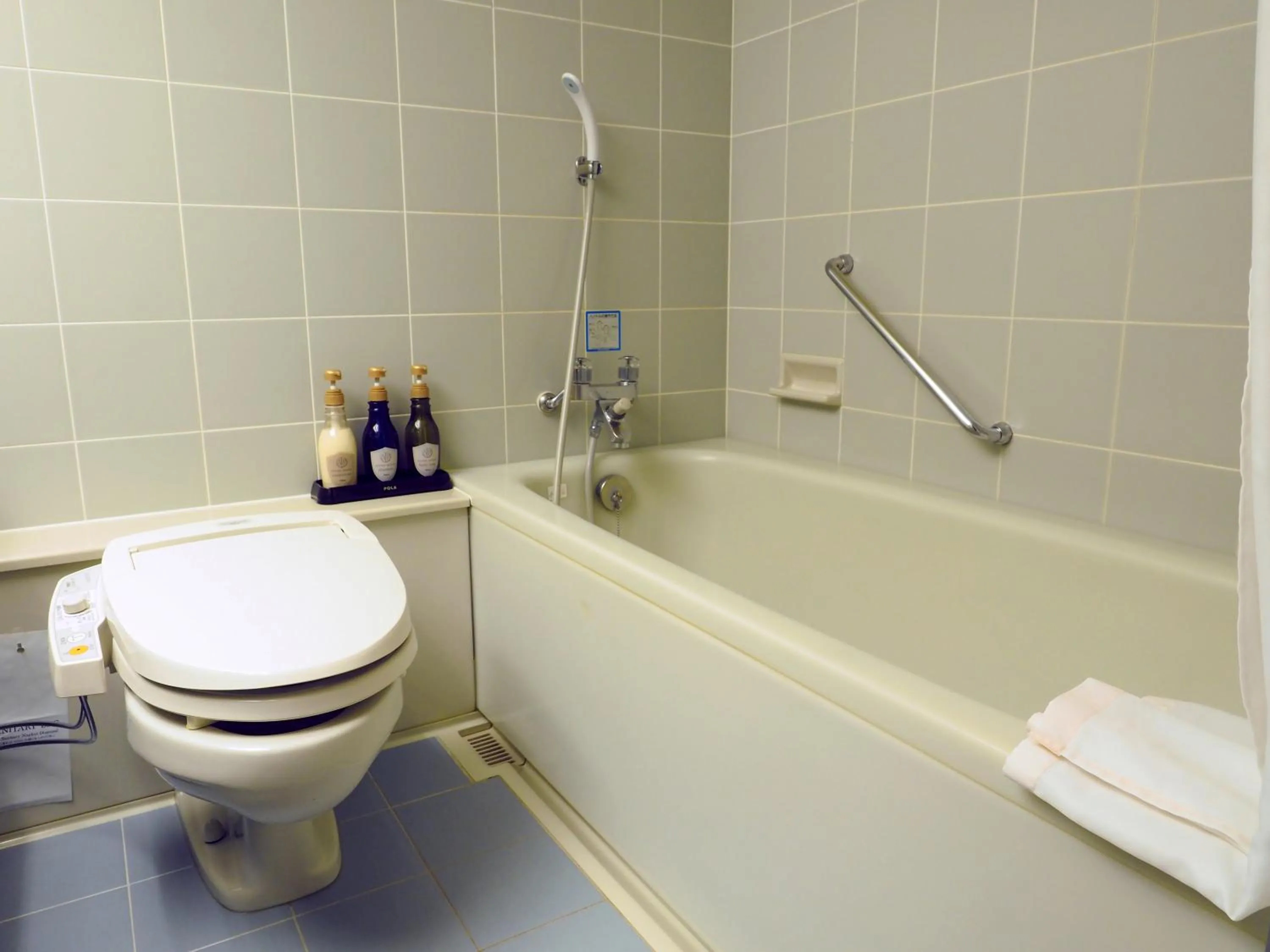 Toilet in Log Hotel Larch Lake Kanayama