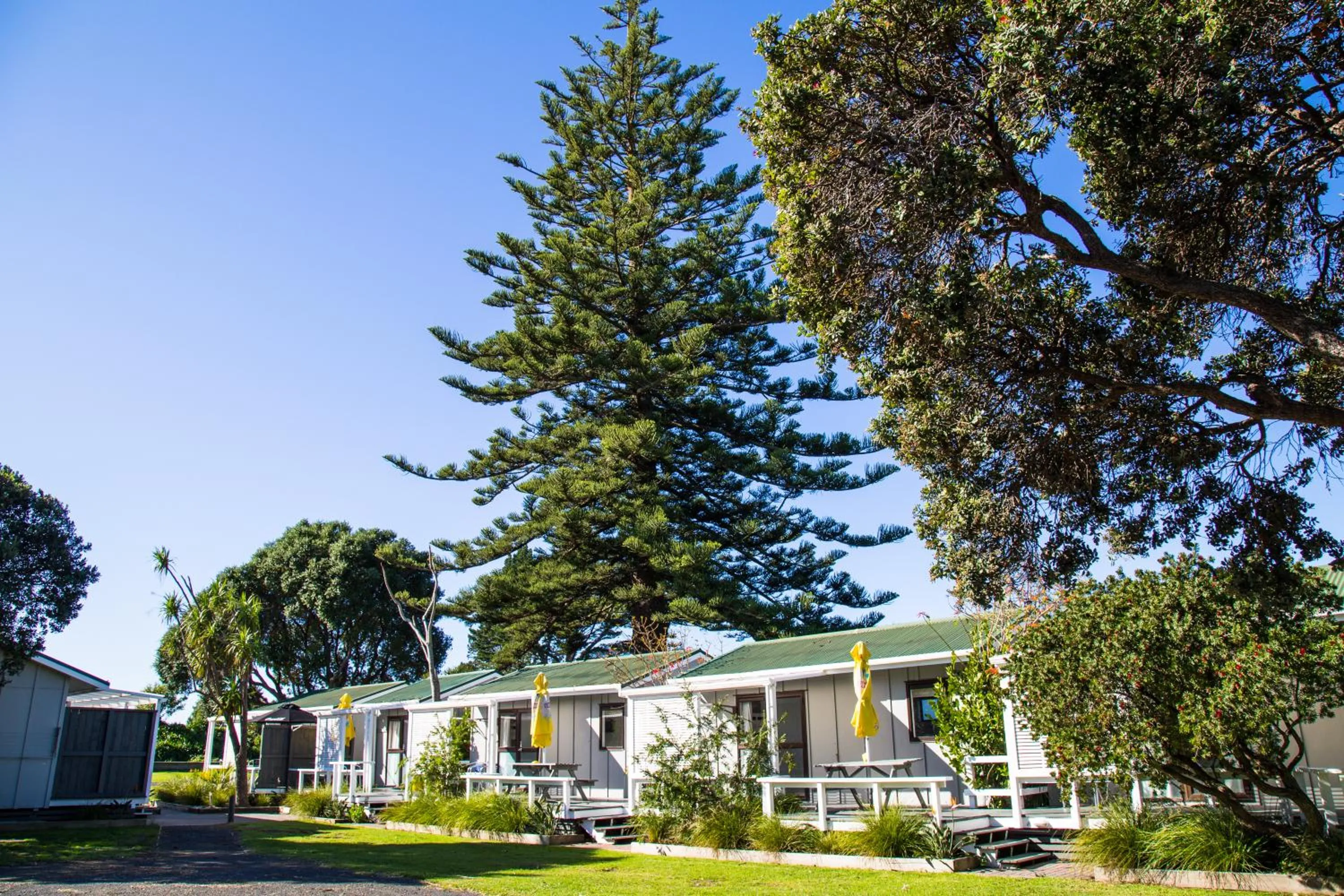 Patio in Hahei Beach Resort