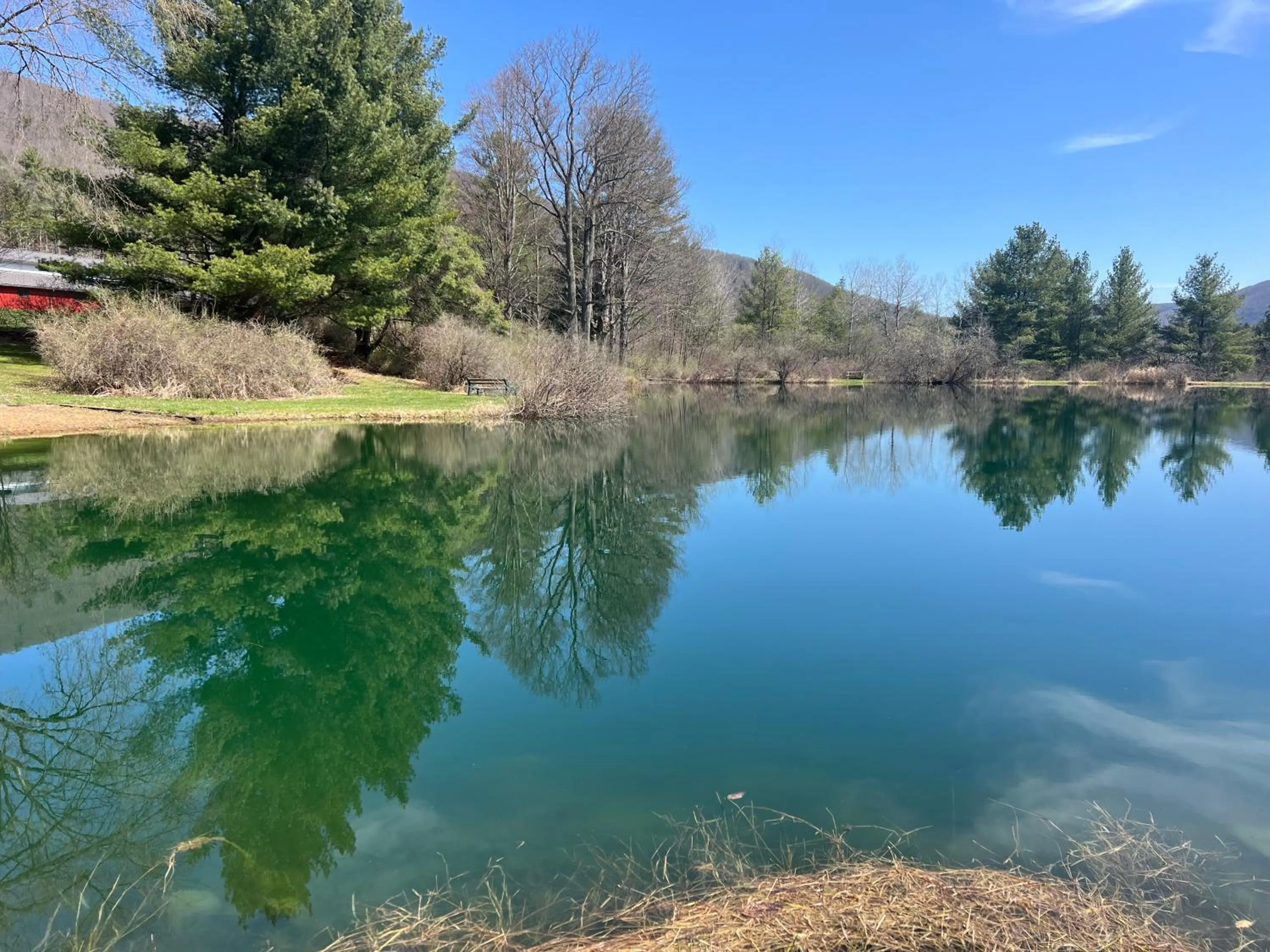 Lake view in Colton Point Motel