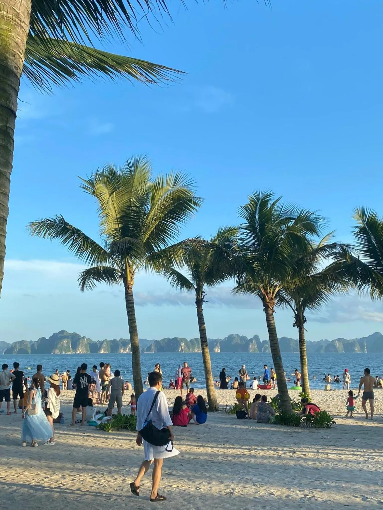 Homestay SEA VIEW Alacarte Hạ Long