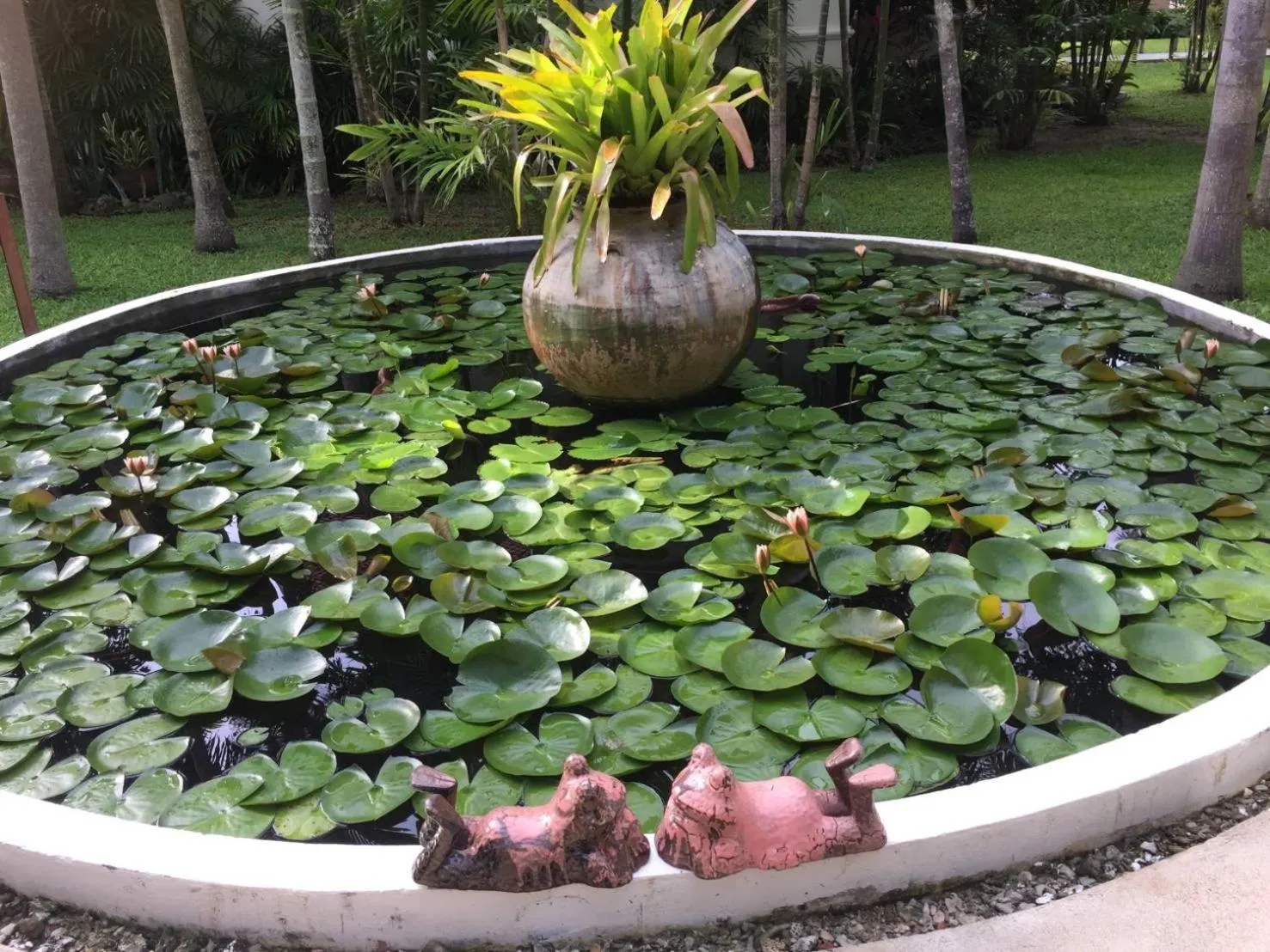 Day in Baan Thai Lanta Resort