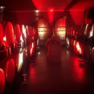 Area and facilities in Heitlinger Hof