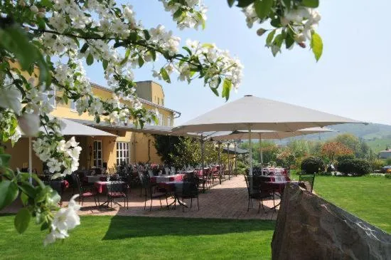 Garden view in Heitlinger Hof