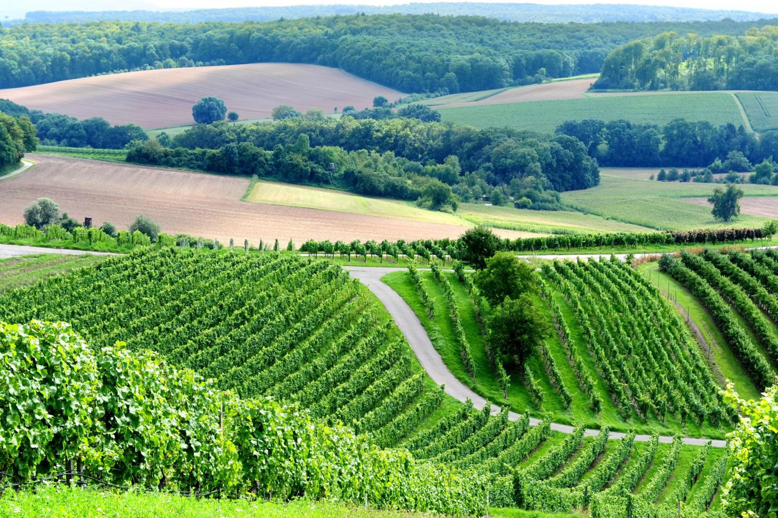 Off site in Heitlinger Hof