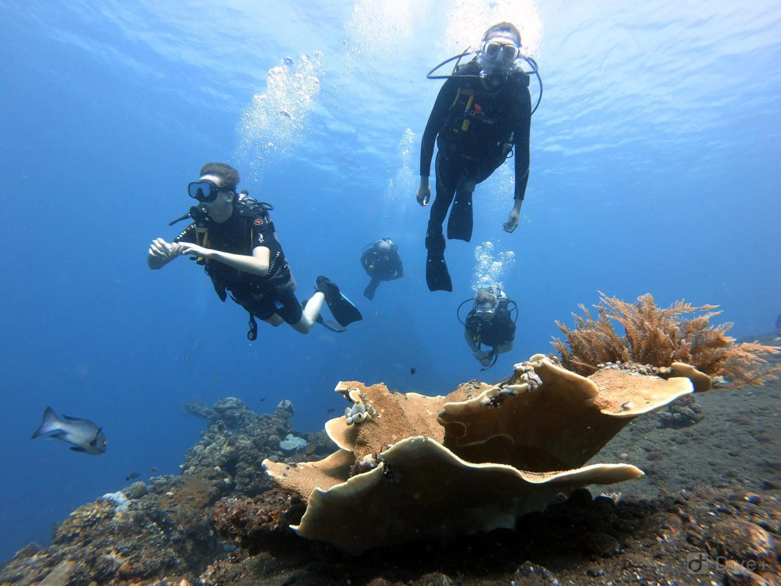 People in Bali Diversity Dive Resort