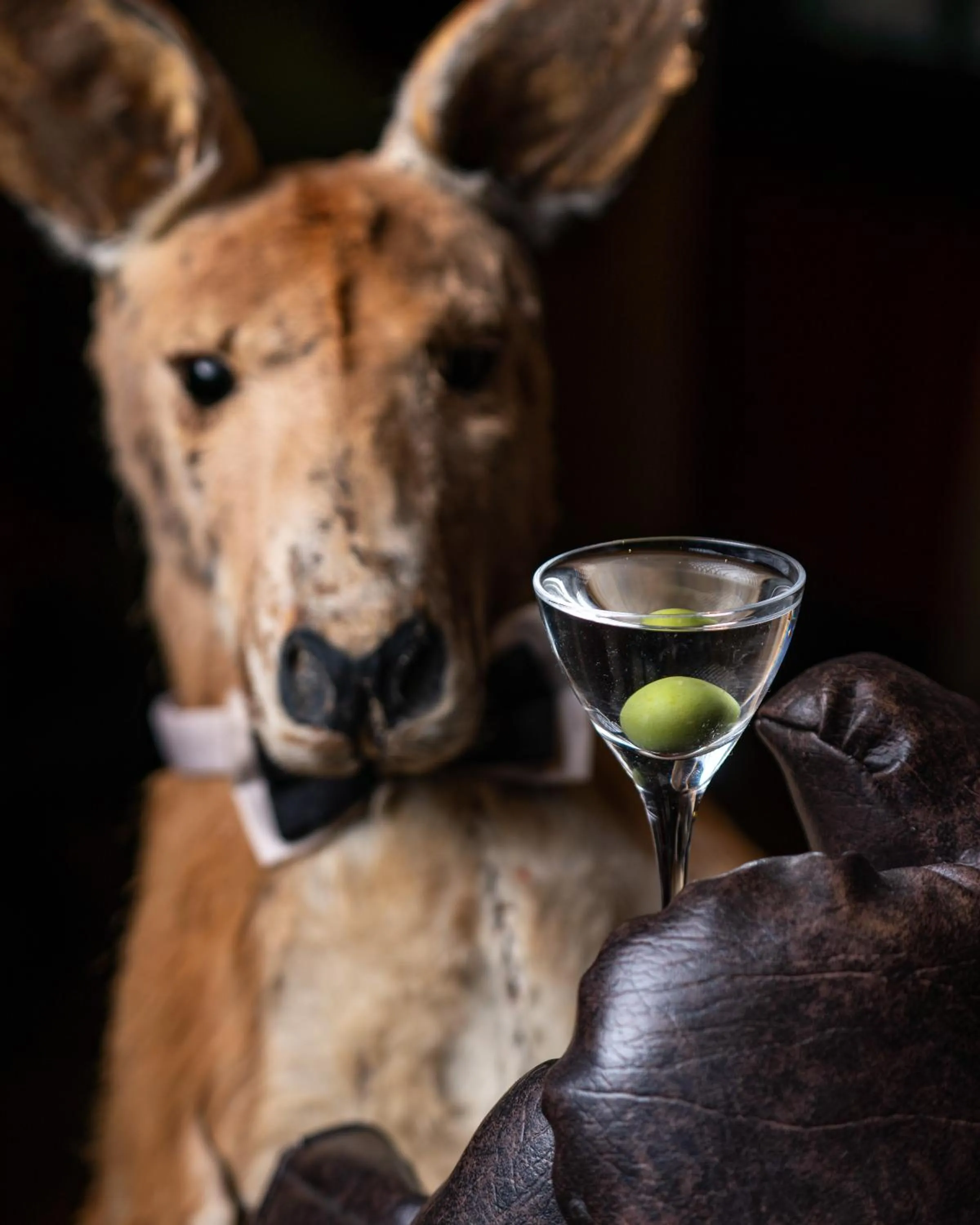 Alcoholic drinks in The Zetter Clerkenwell