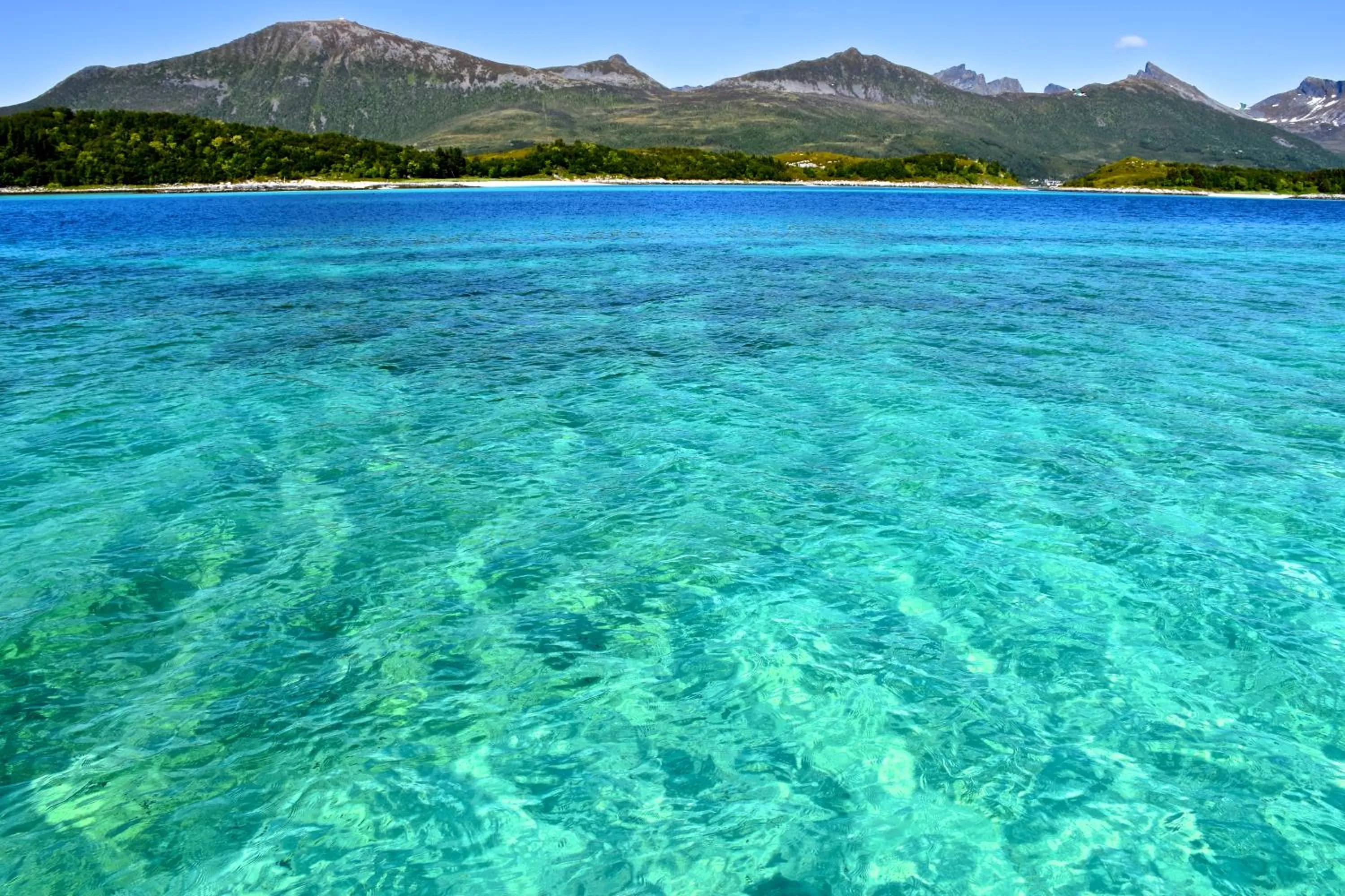 Activities in Hamn i Senja