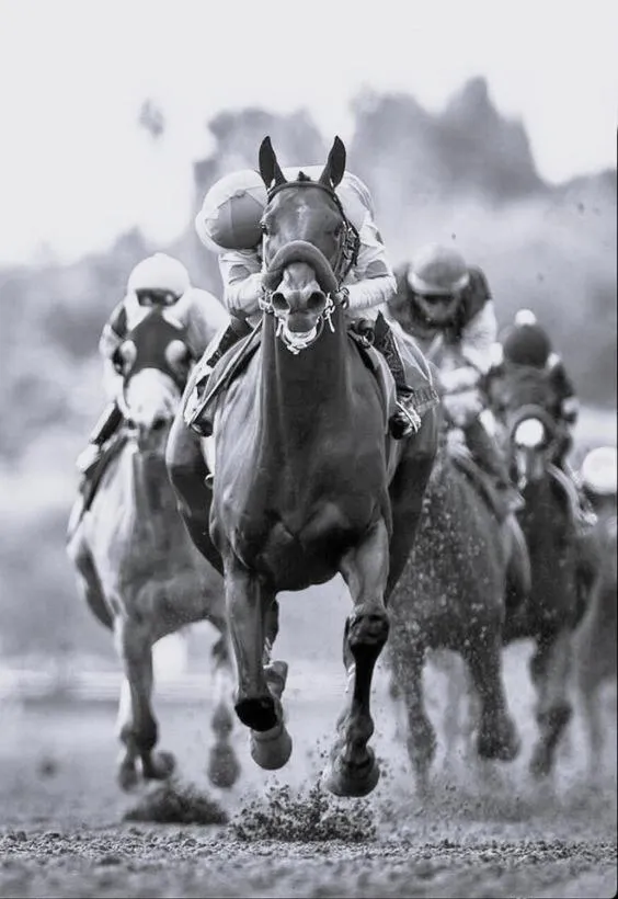 Other in The Seven Chester