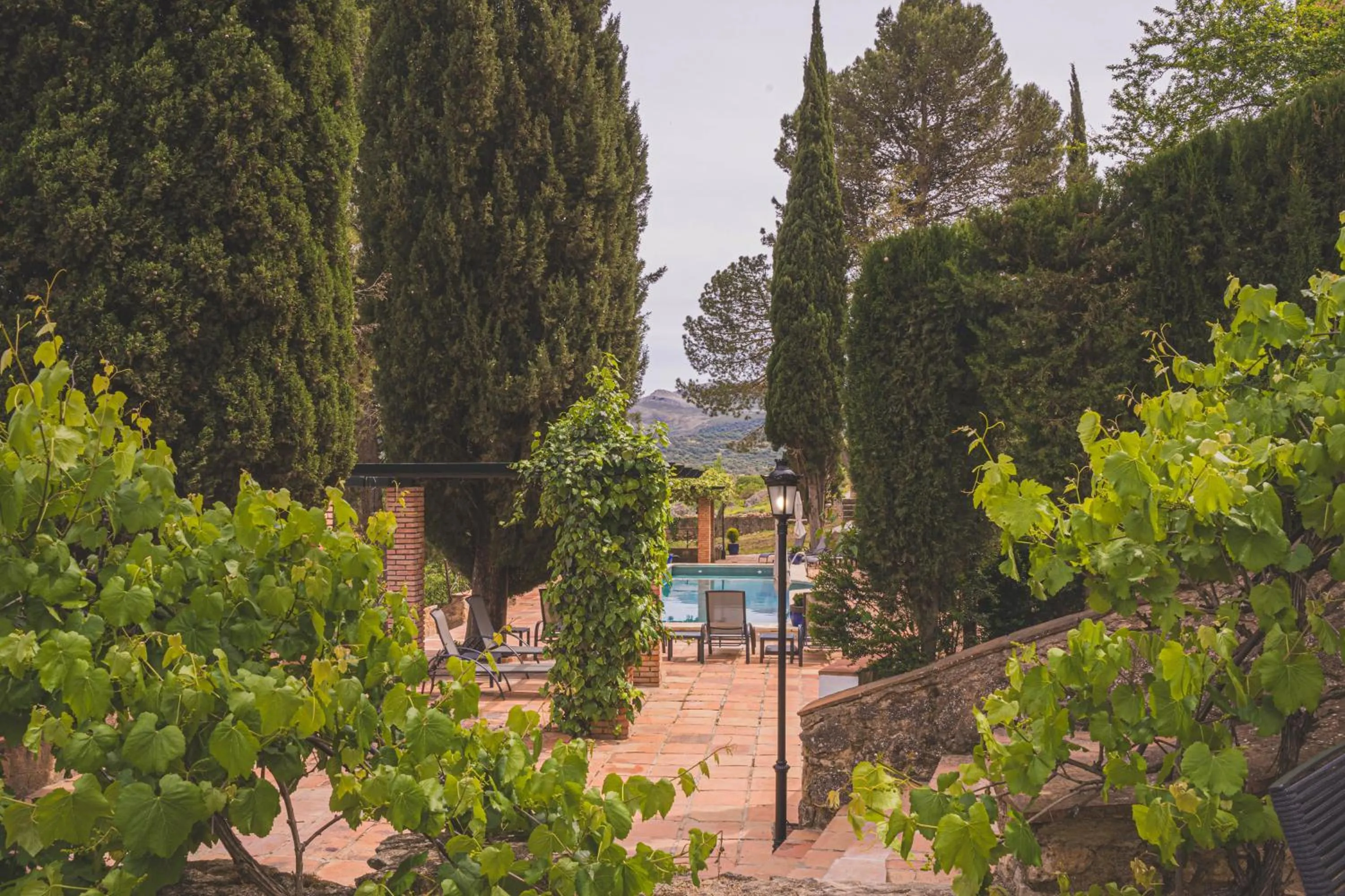 Natural landscape in Hotel Boutique Palacio De La Duquesa