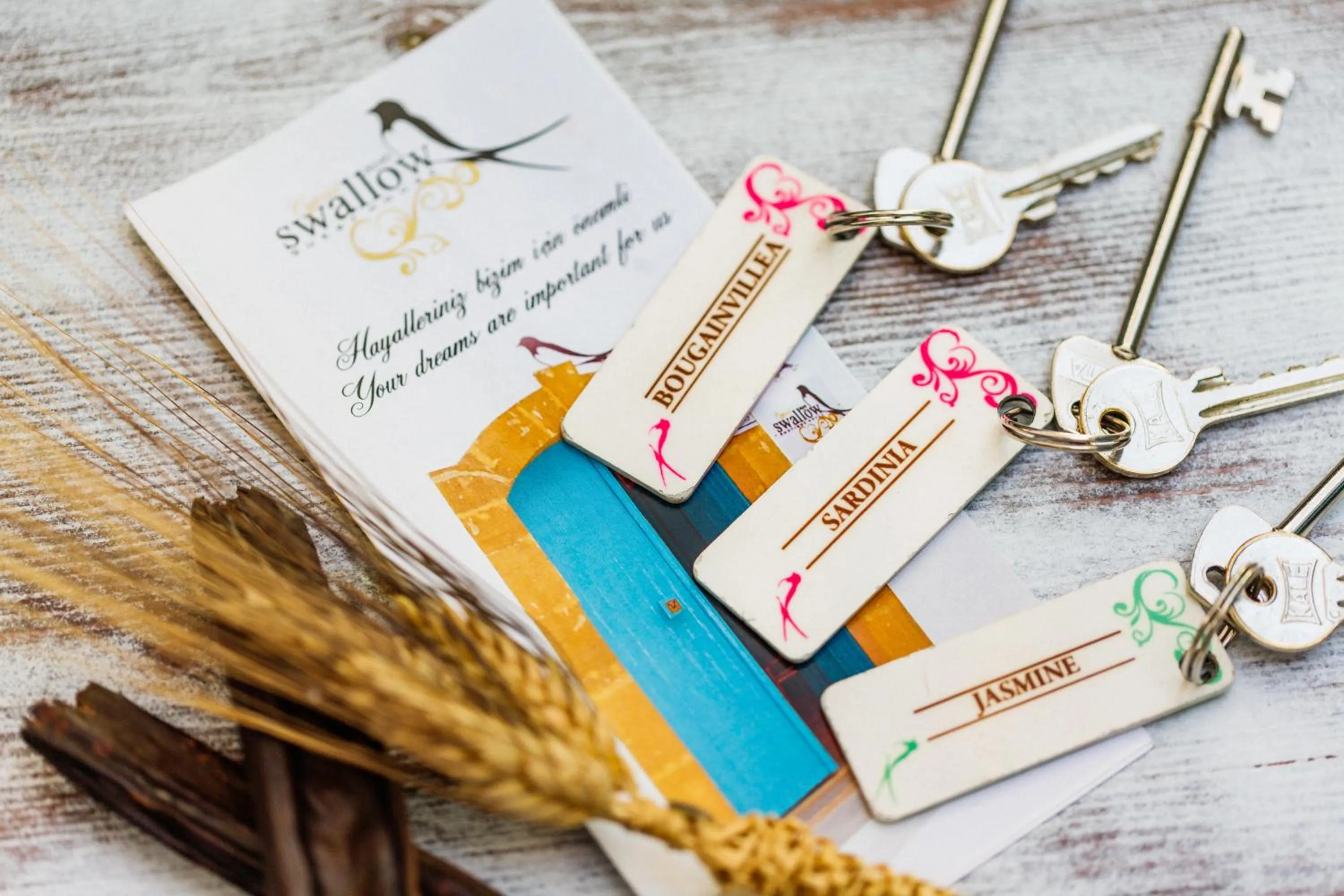 Logo/Certificate/Sign in Cypriot Swallow Boutique Hotel