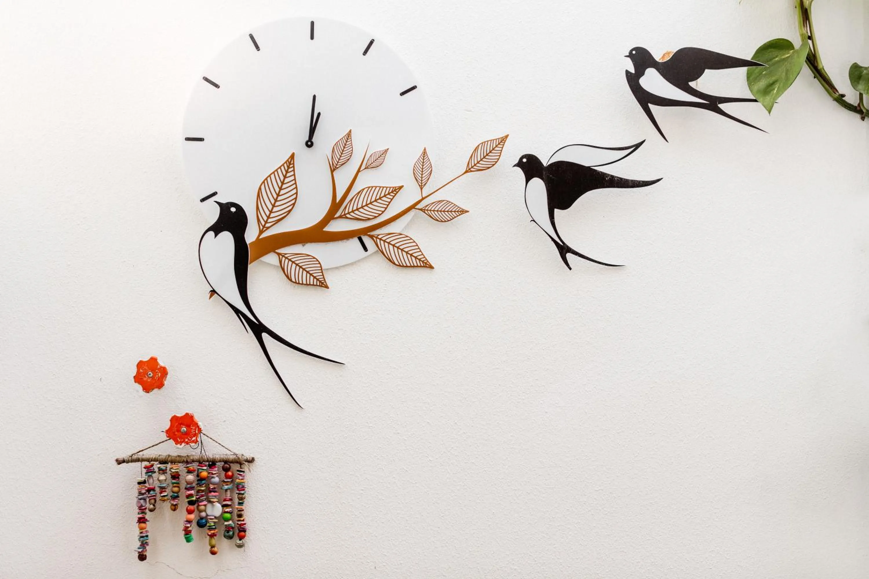 Logo/Certificate/Sign in Cypriot Swallow Boutique Hotel