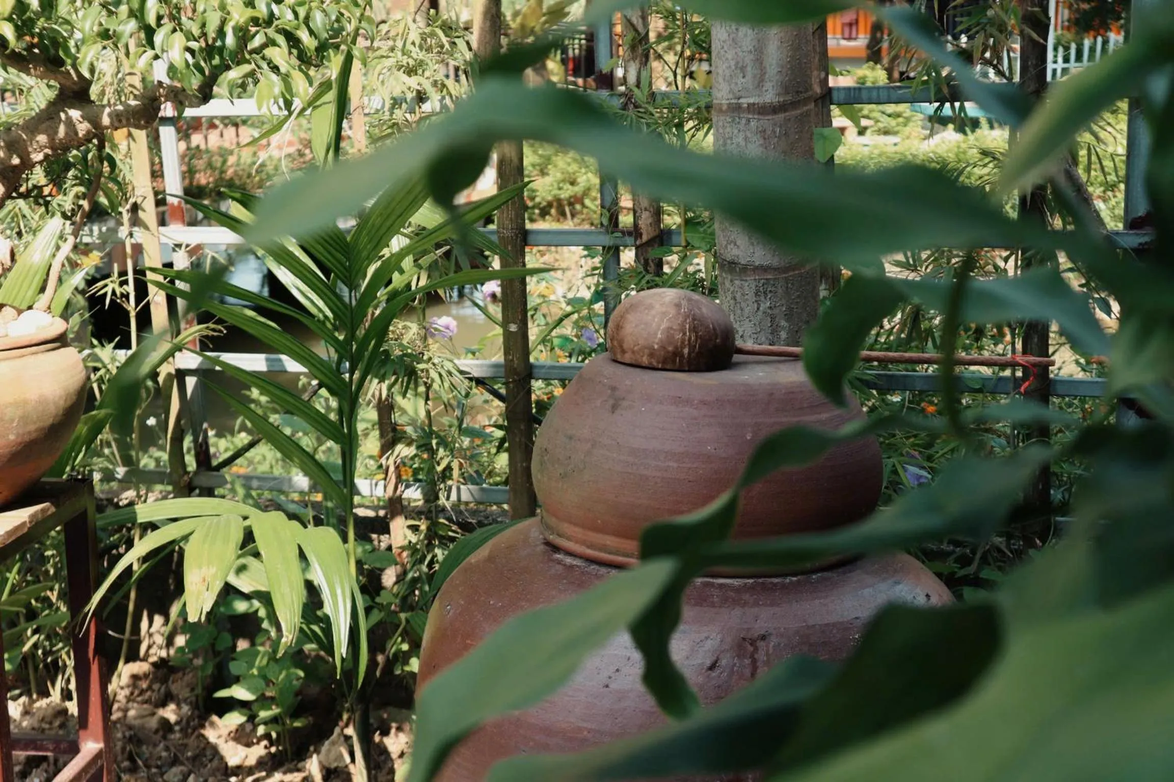 Day in An Phu Homestay