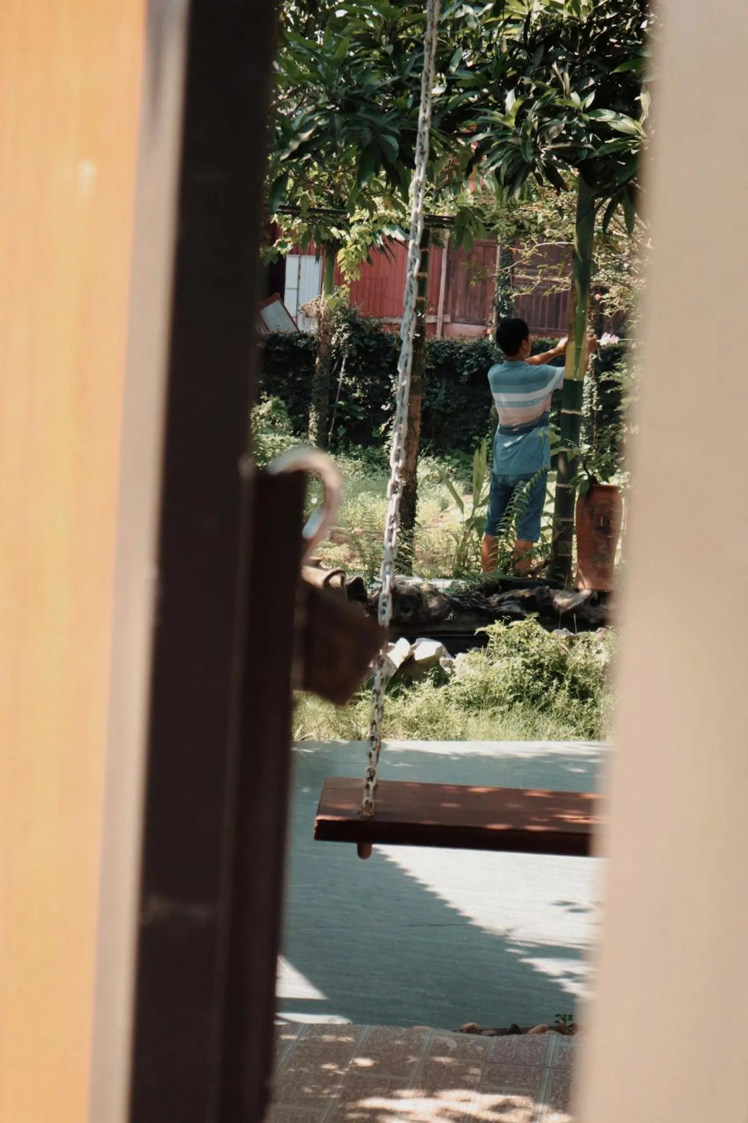 Day in An Phu Homestay