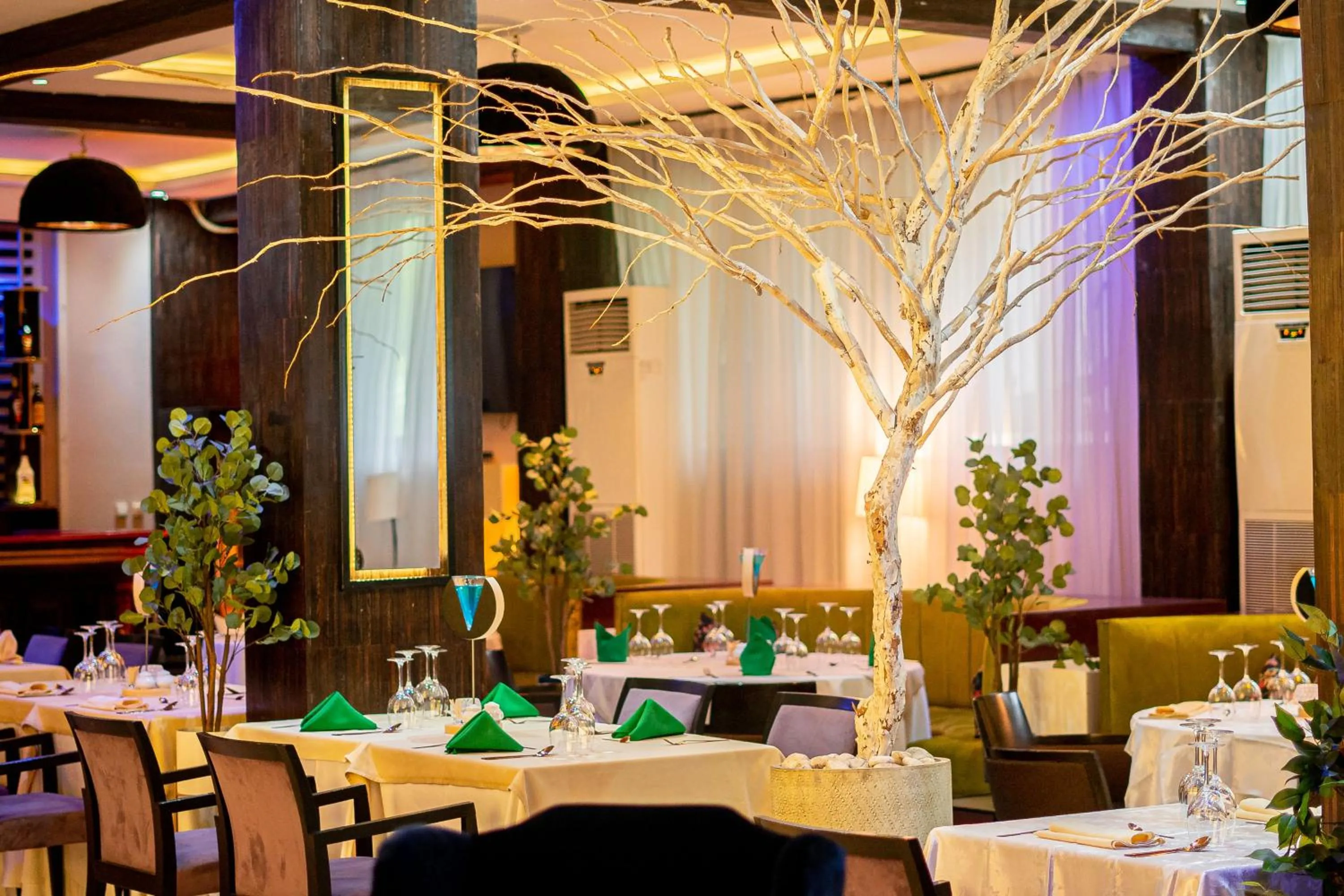 Restaurant/places to eat in Sultani River