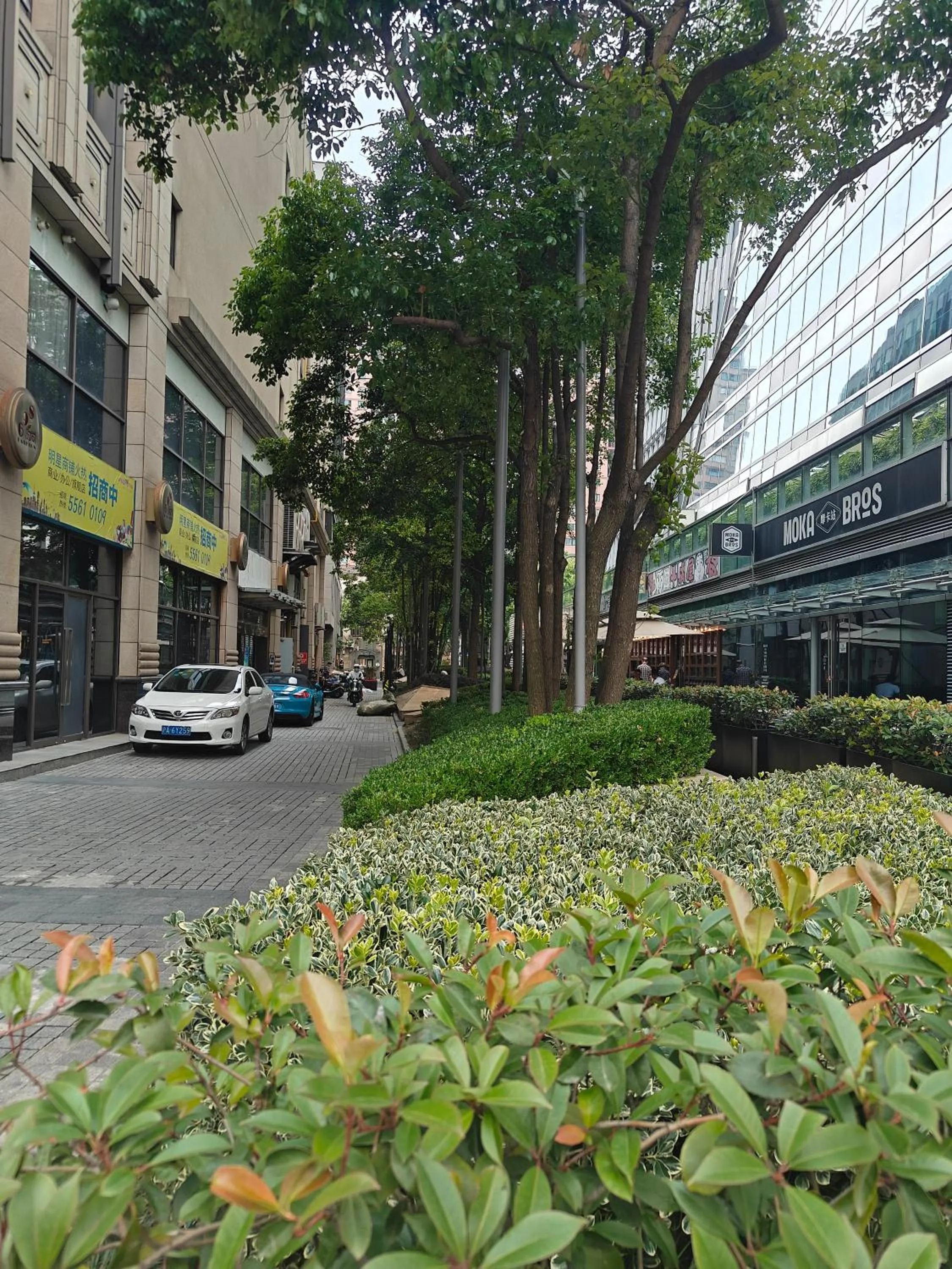 Garden in Atour X Hotel West Nanjing Road