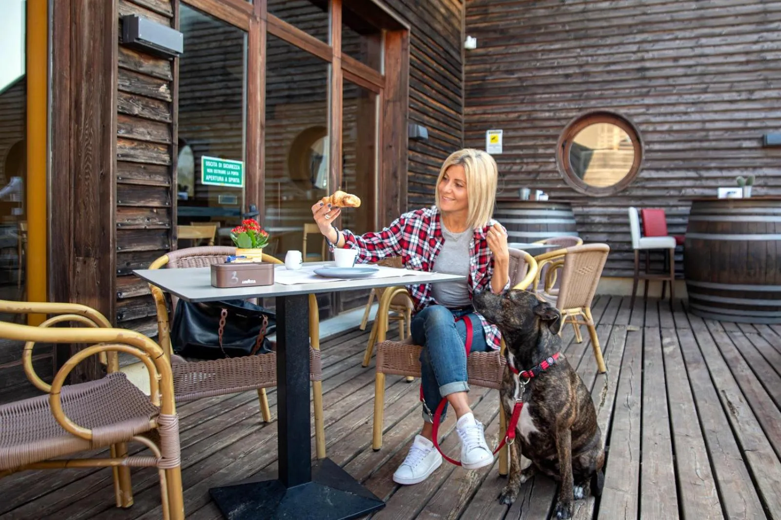 Animals in Hotel Caneo