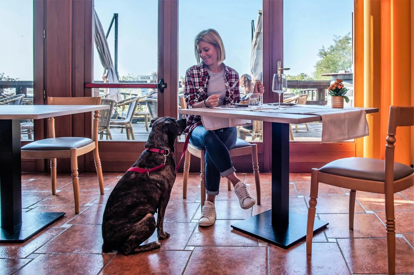 Animals in Hotel Caneo