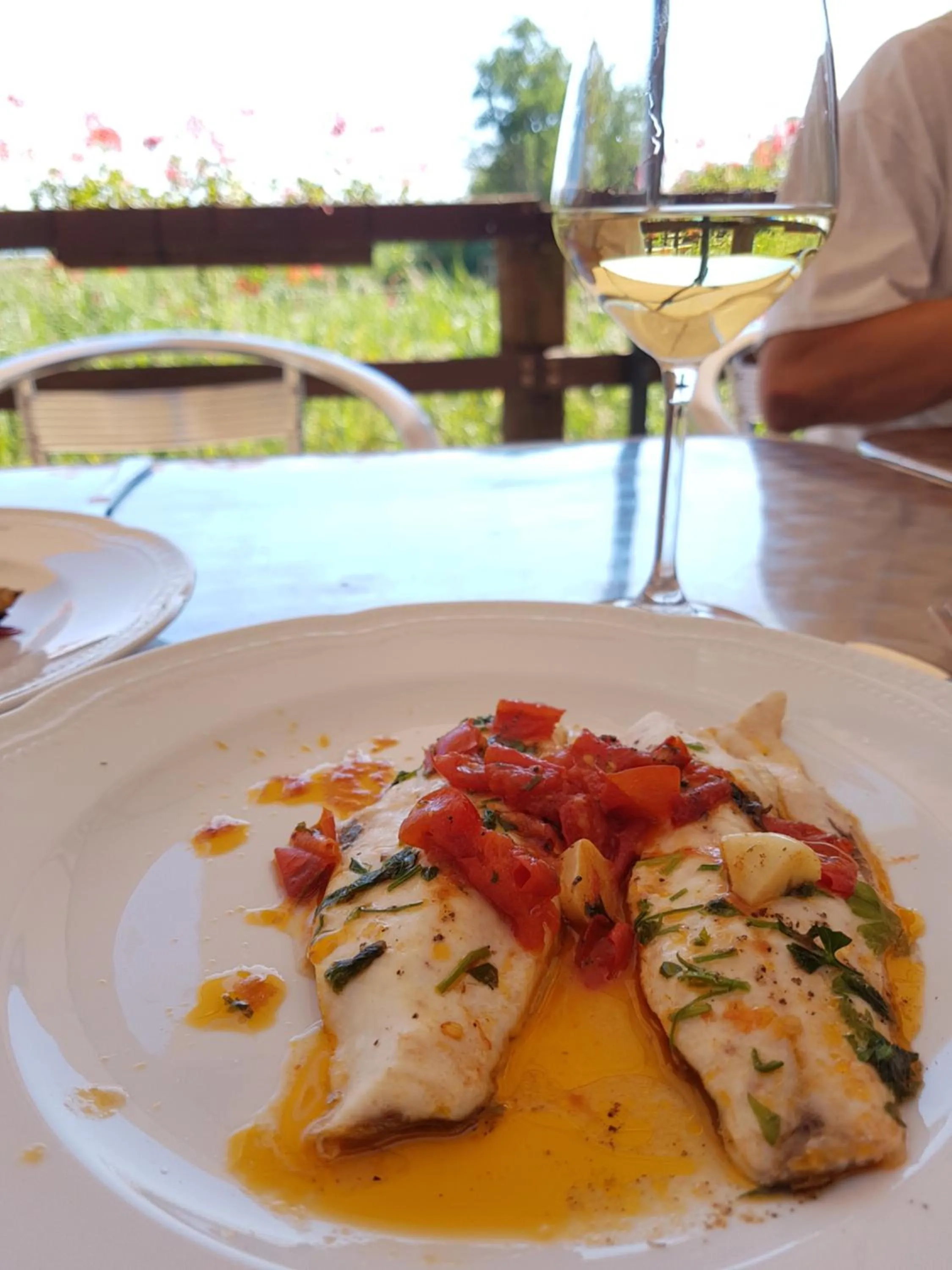 Food and drinks in Hotel Caneo