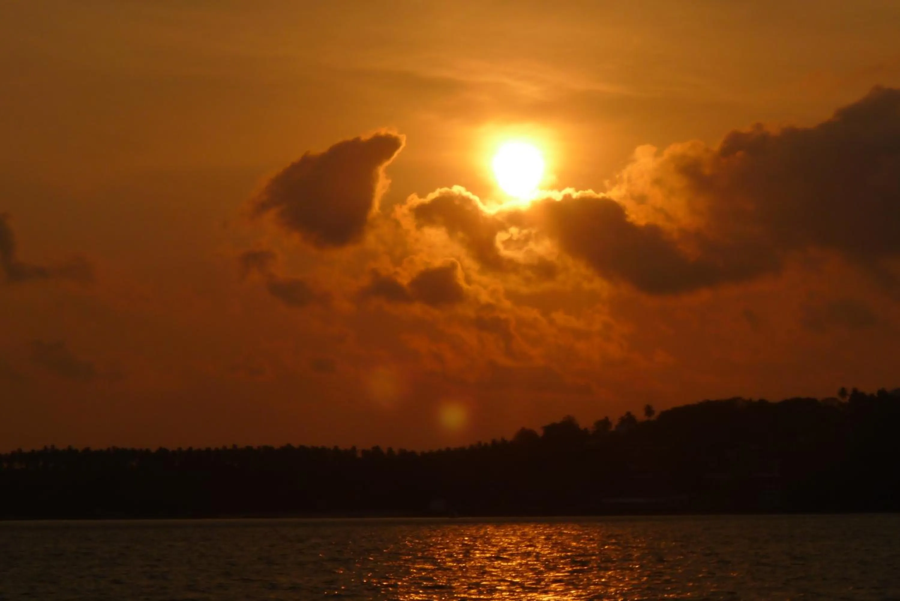 Natural landscape in V Beach Resort