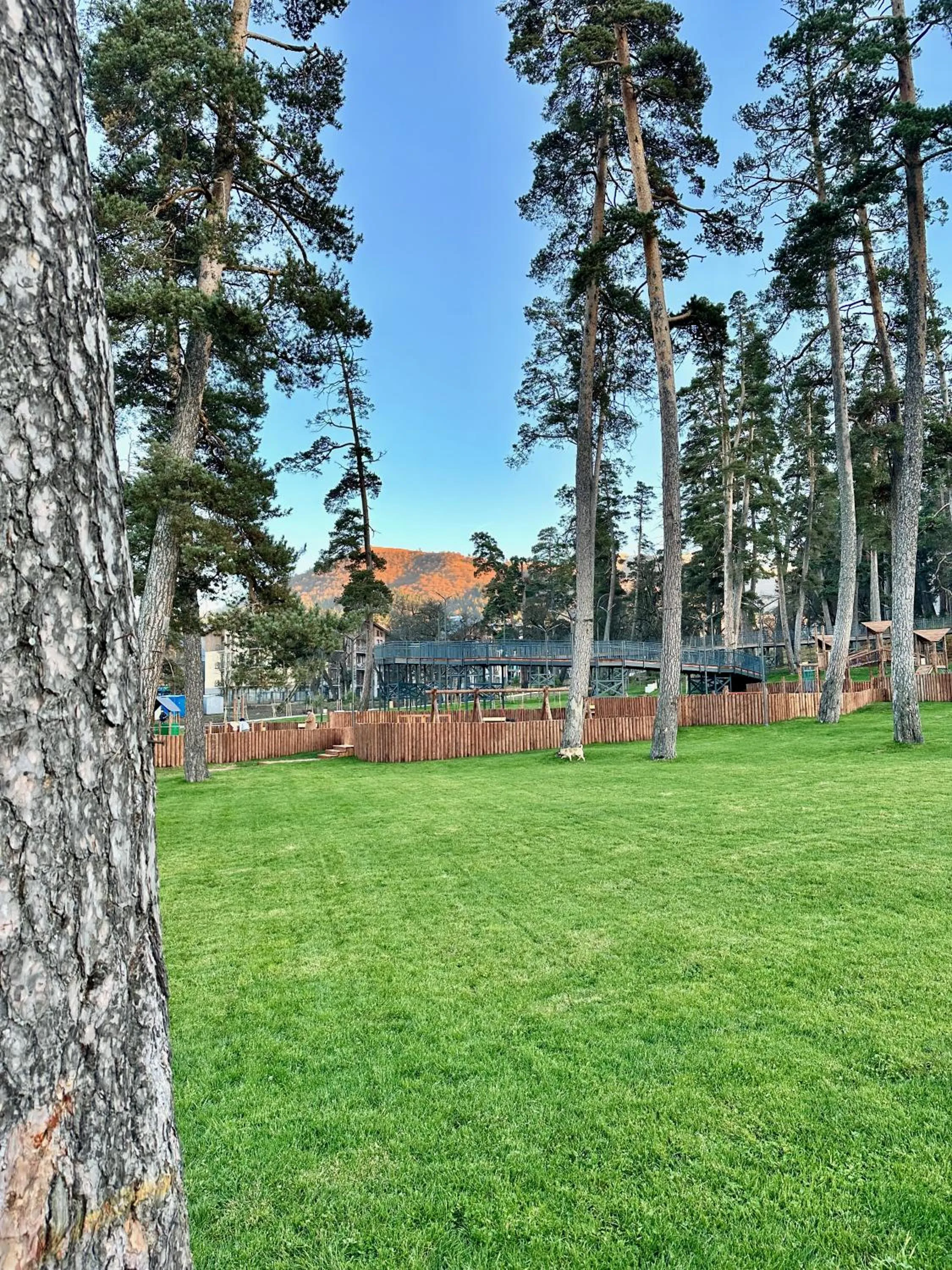 Area and facilities in Villa Mtashi