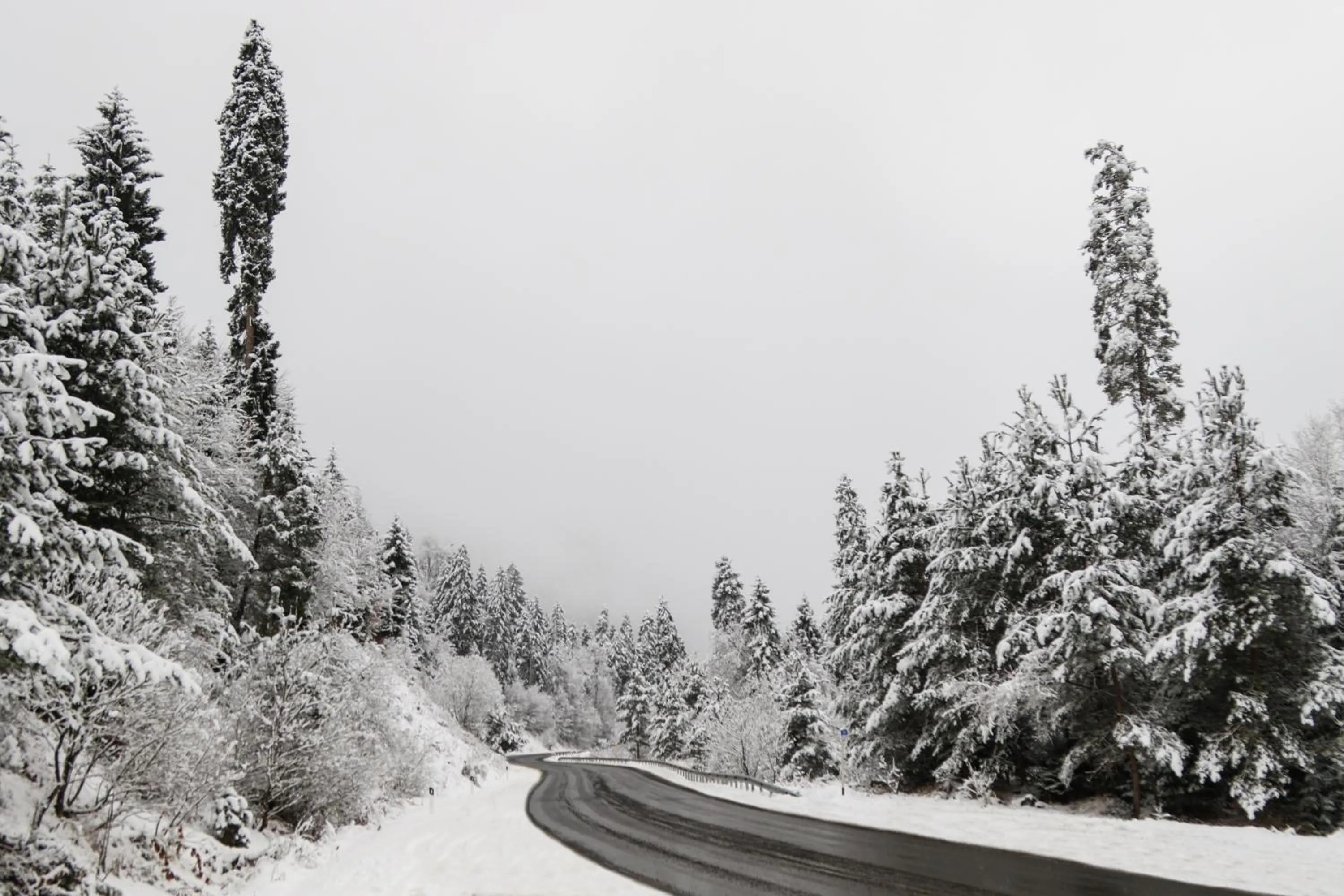 Natural landscape in Villa Mtashi