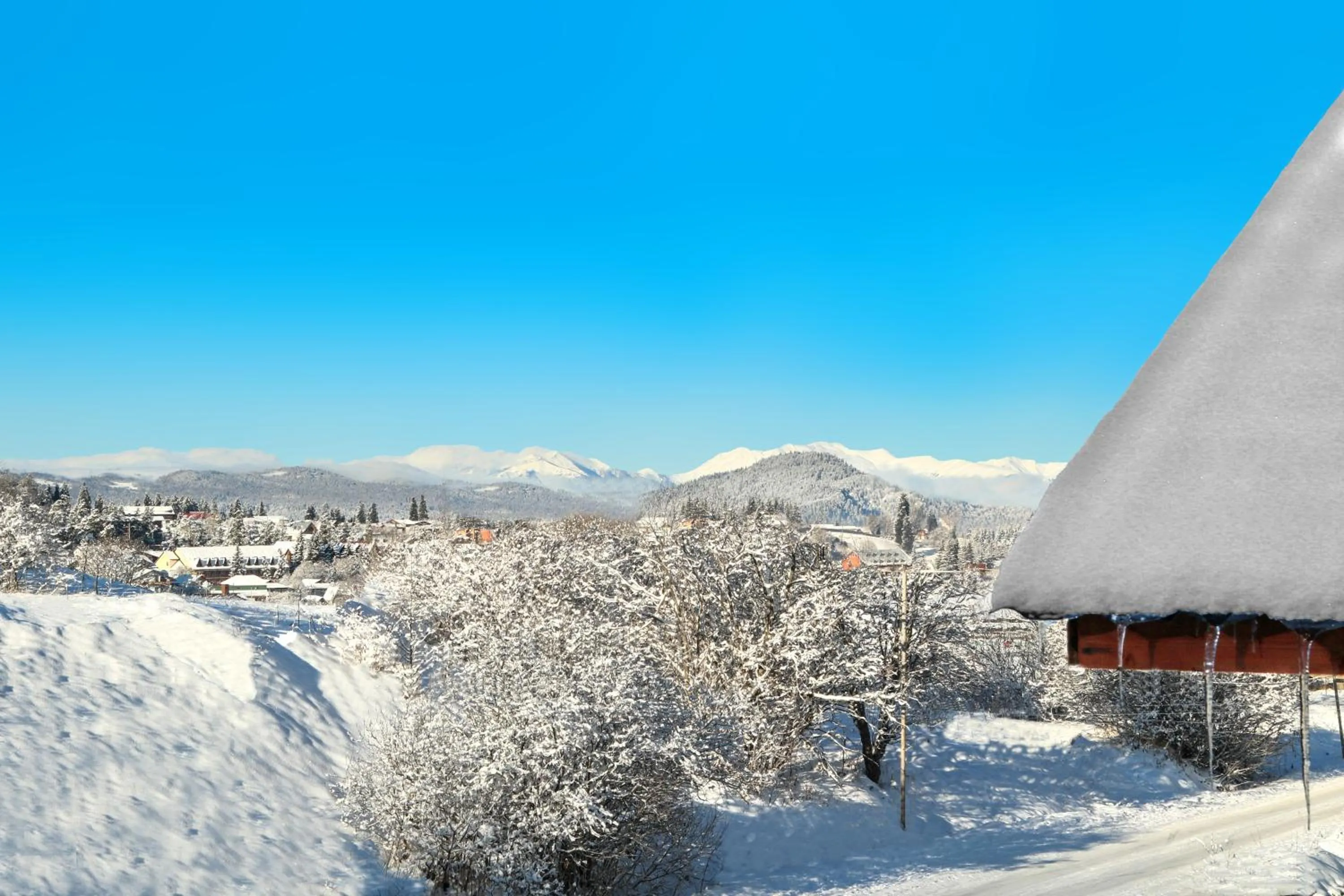 Garden view in Villa Mtashi