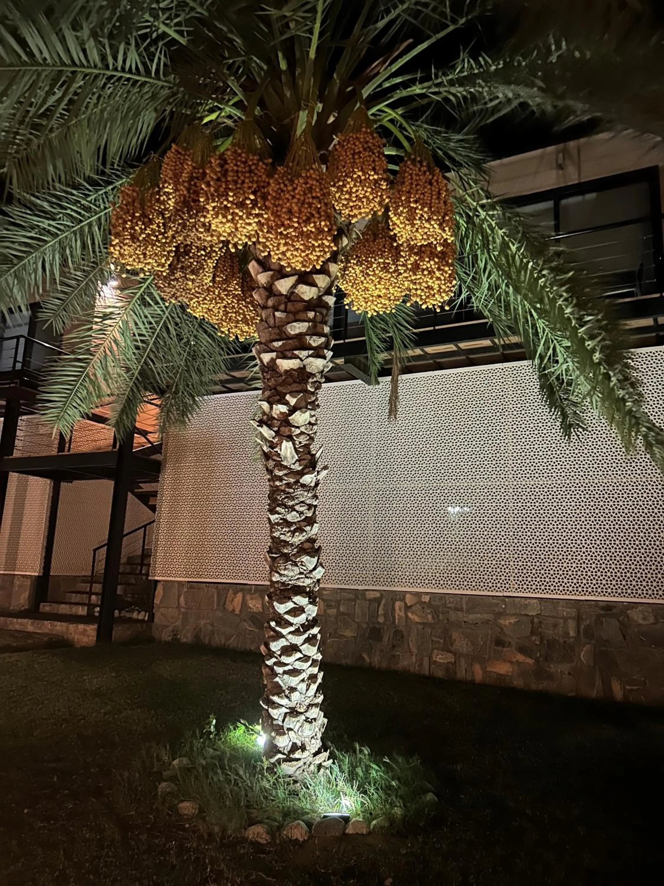 Natural landscape in The View