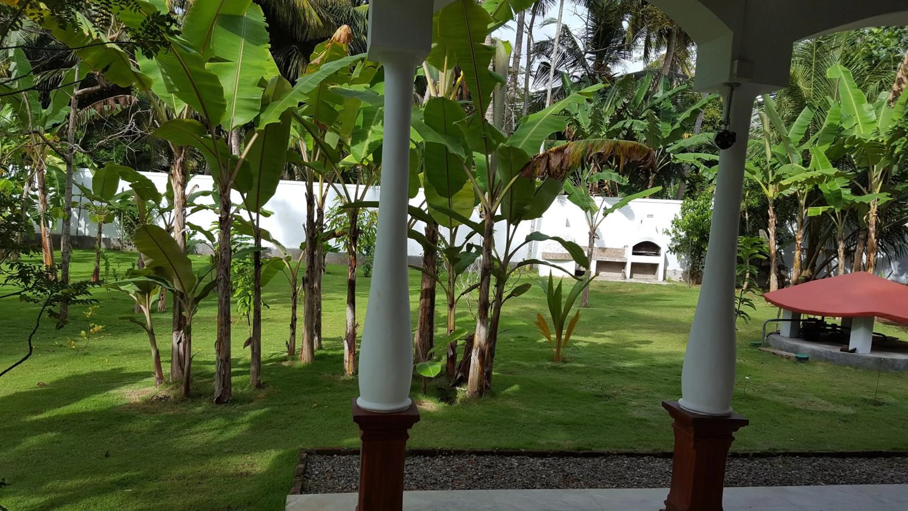 Garden, Patio/Outdoor Area in Lucas