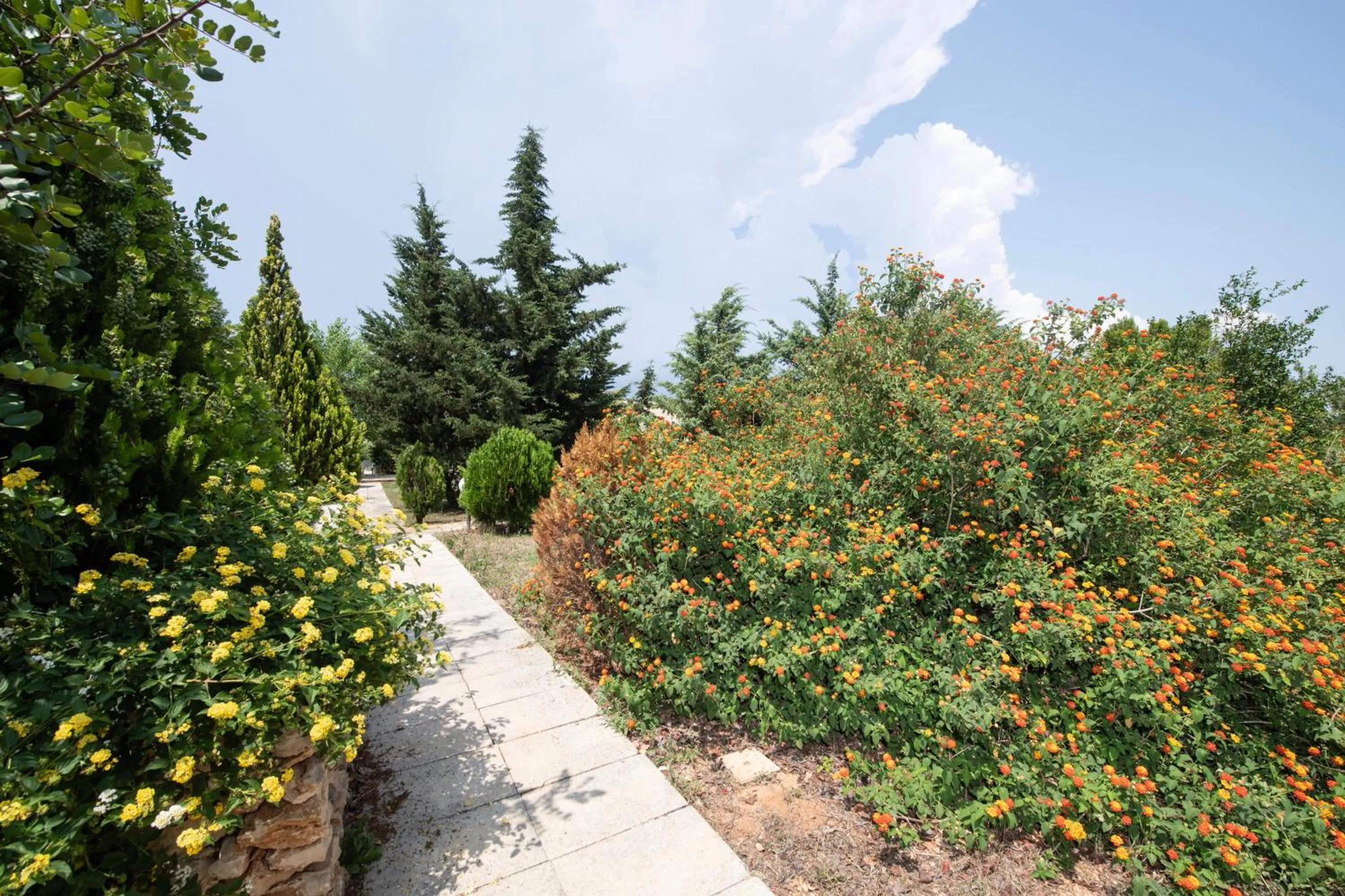 Garden in Masseria Agriturismo Faresalento