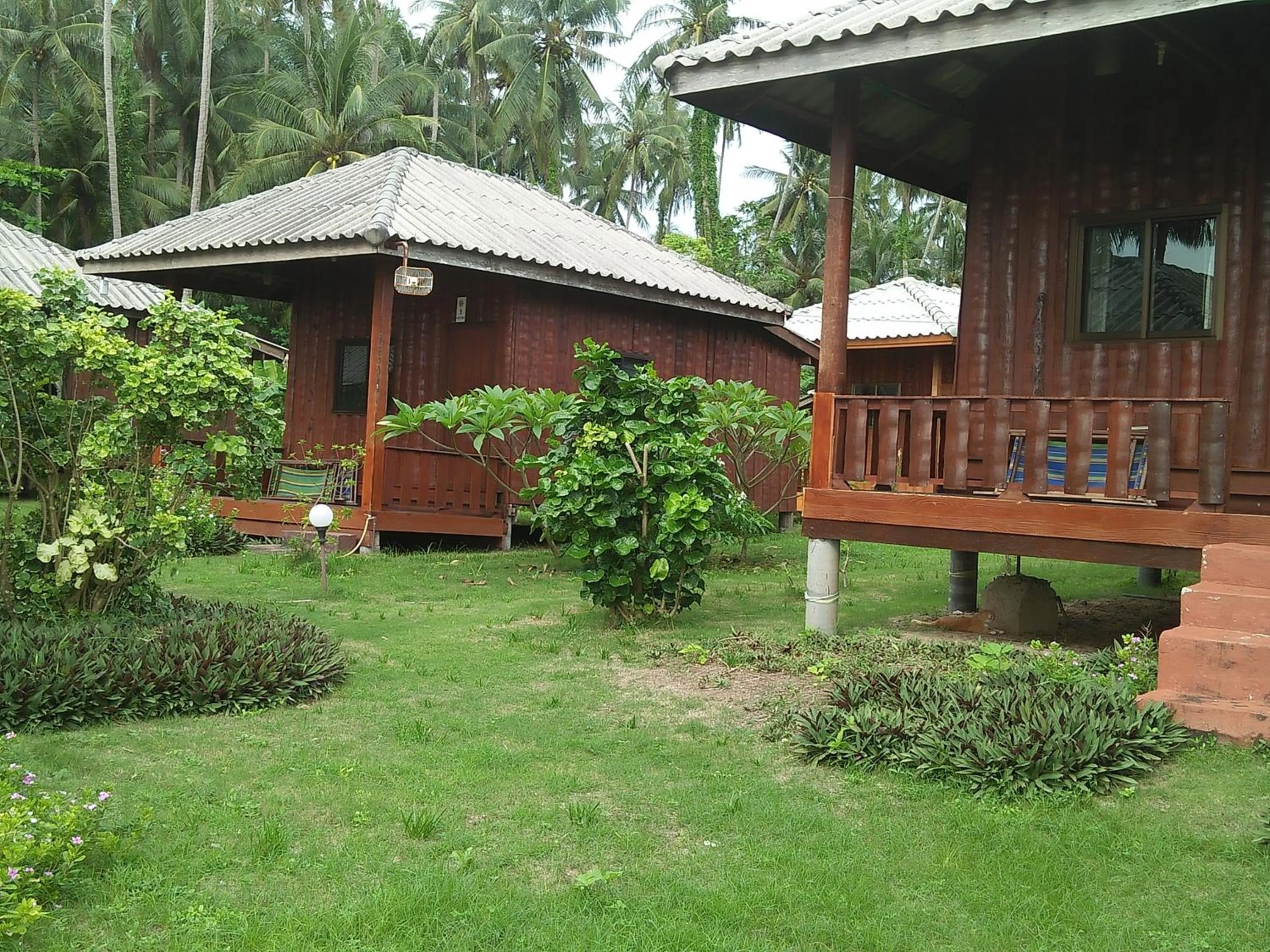 Natural landscape in Happy Days Resort