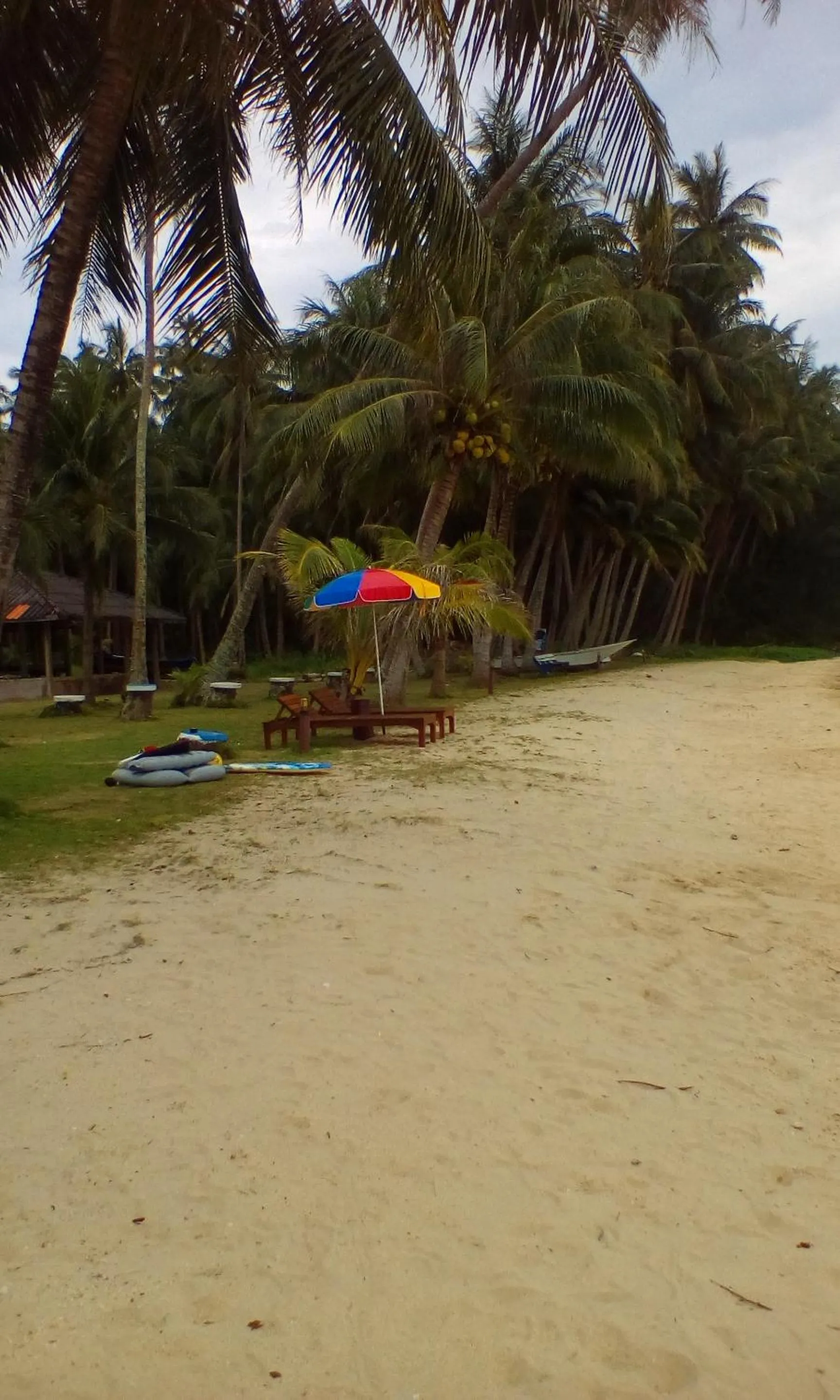 View (from property/room) in Happy Days Resort
