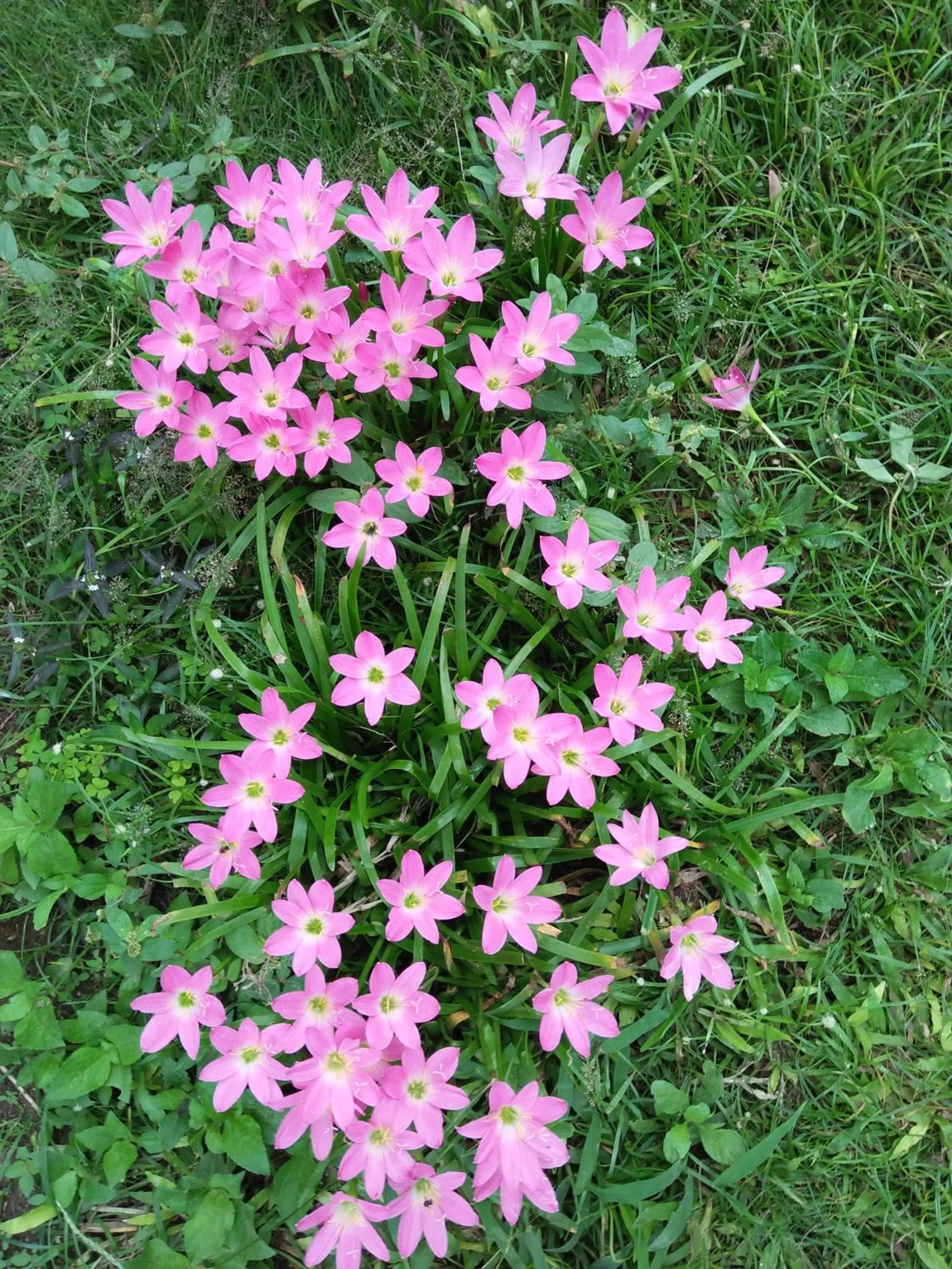 Natural landscape in Happy Days Resort