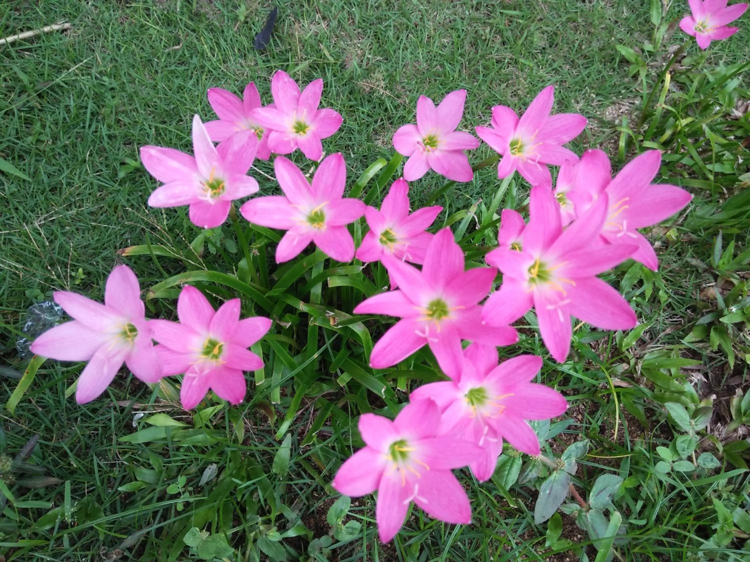 On site in Happy Days Resort