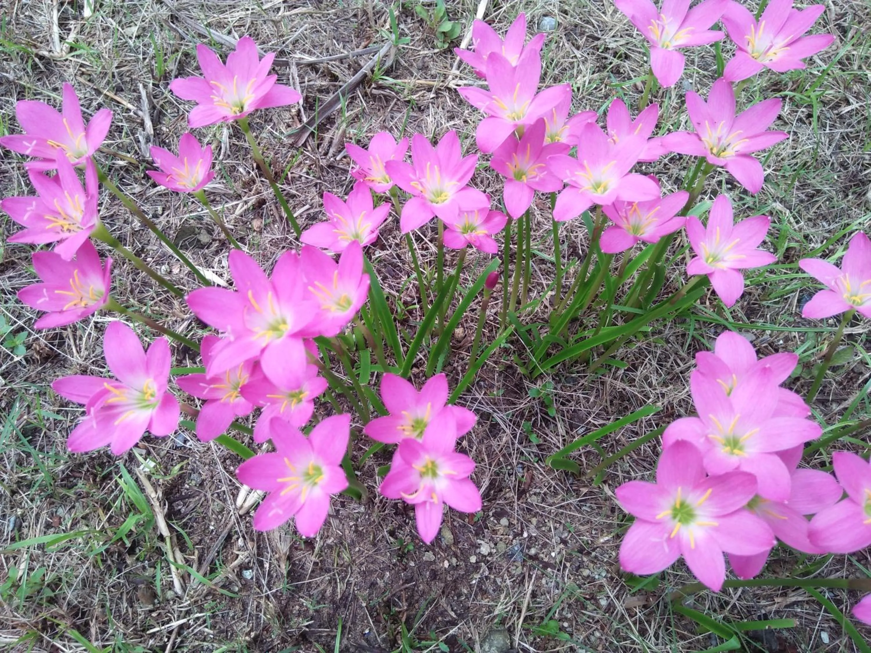 Natural landscape in Happy Days Resort