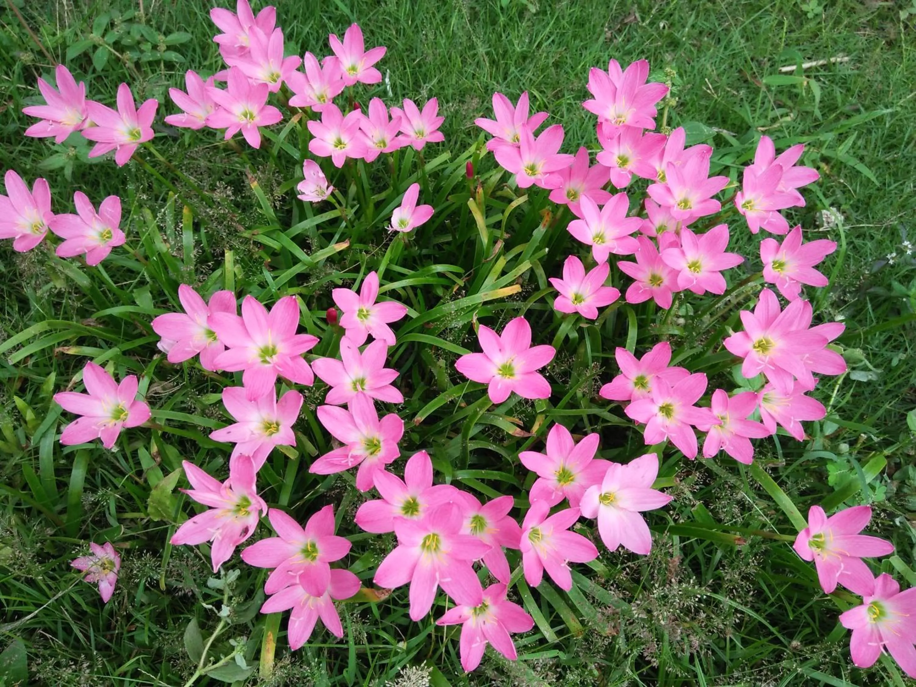 Natural landscape in Happy Days Resort