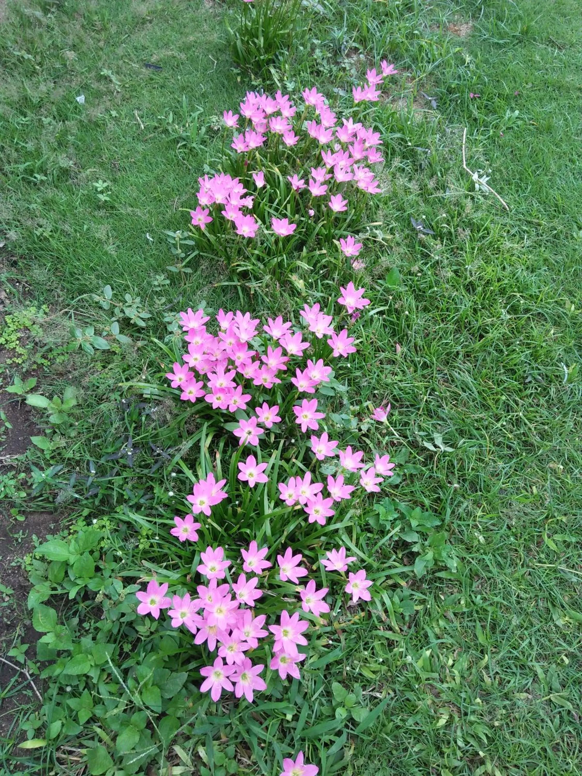 View (from property/room) in Happy Days Resort