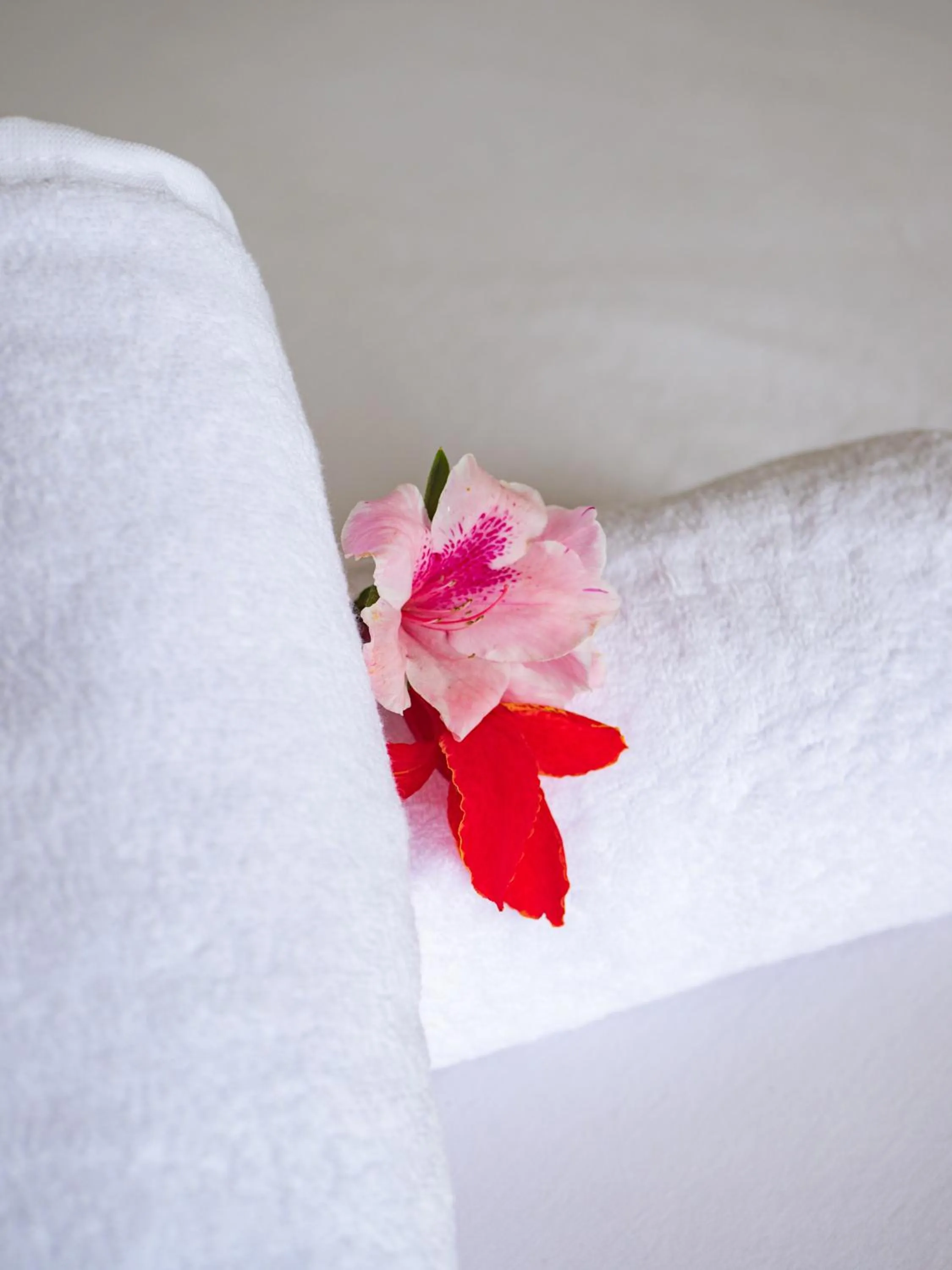 Photo of the whole room, Bed in Catu Glamping Bedugul