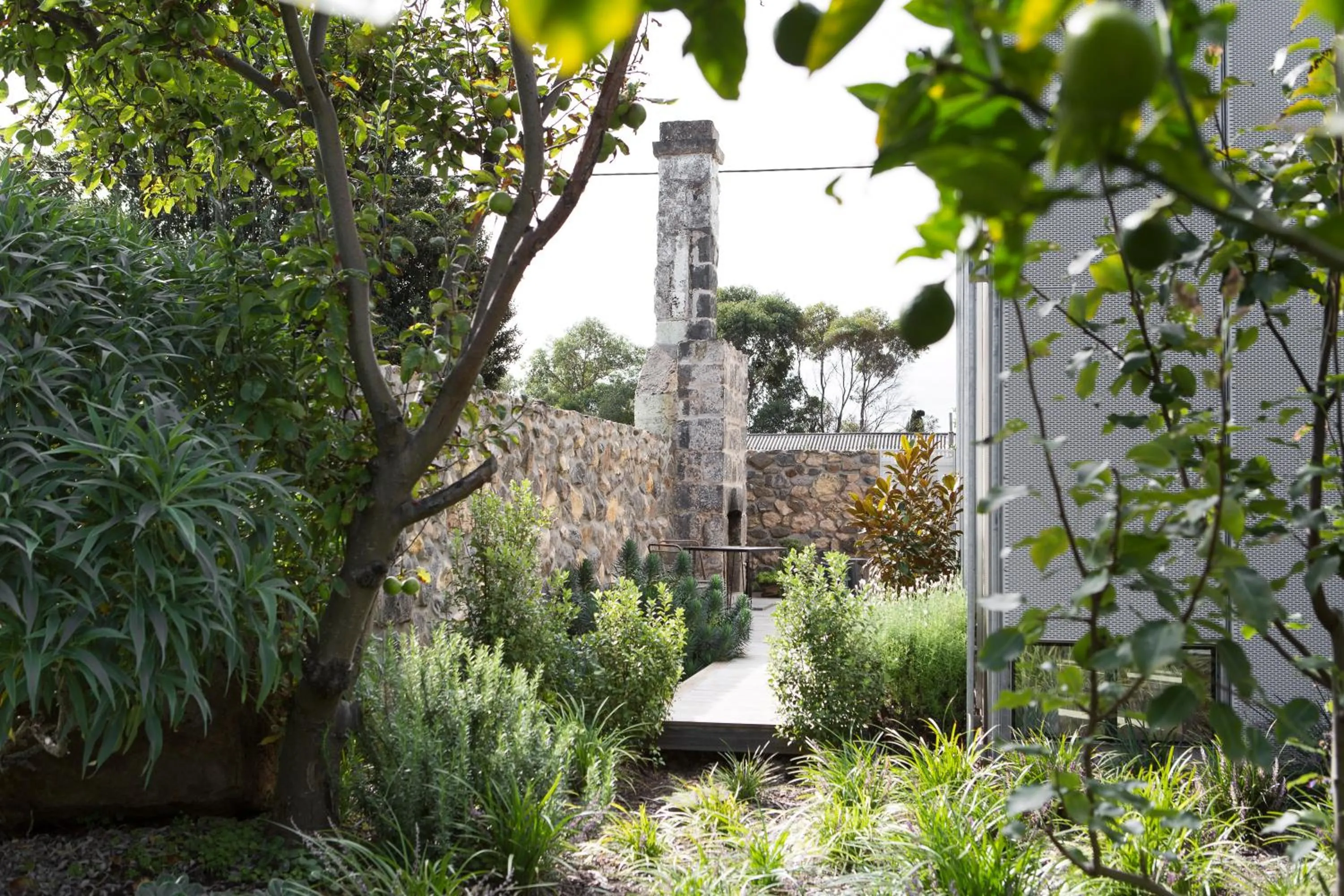 Garden in Drift House