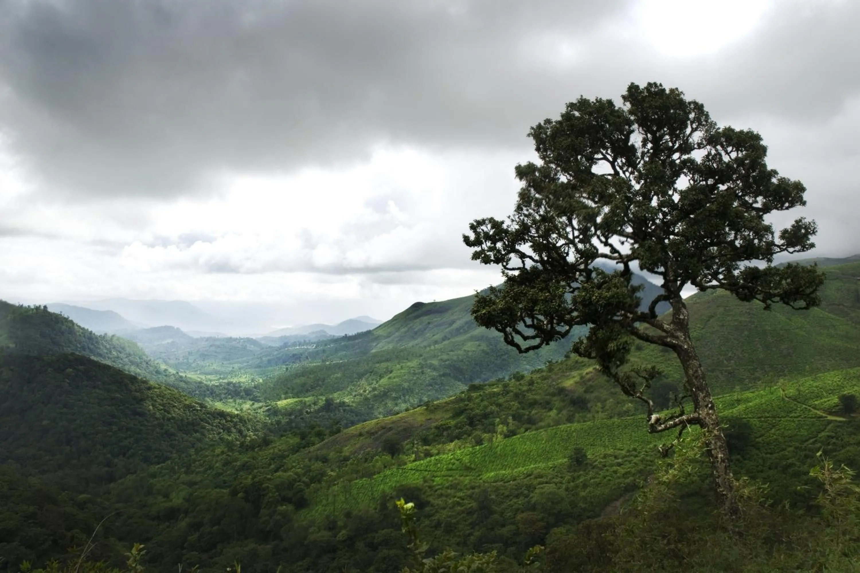 Natural landscape in Sabol Holidays