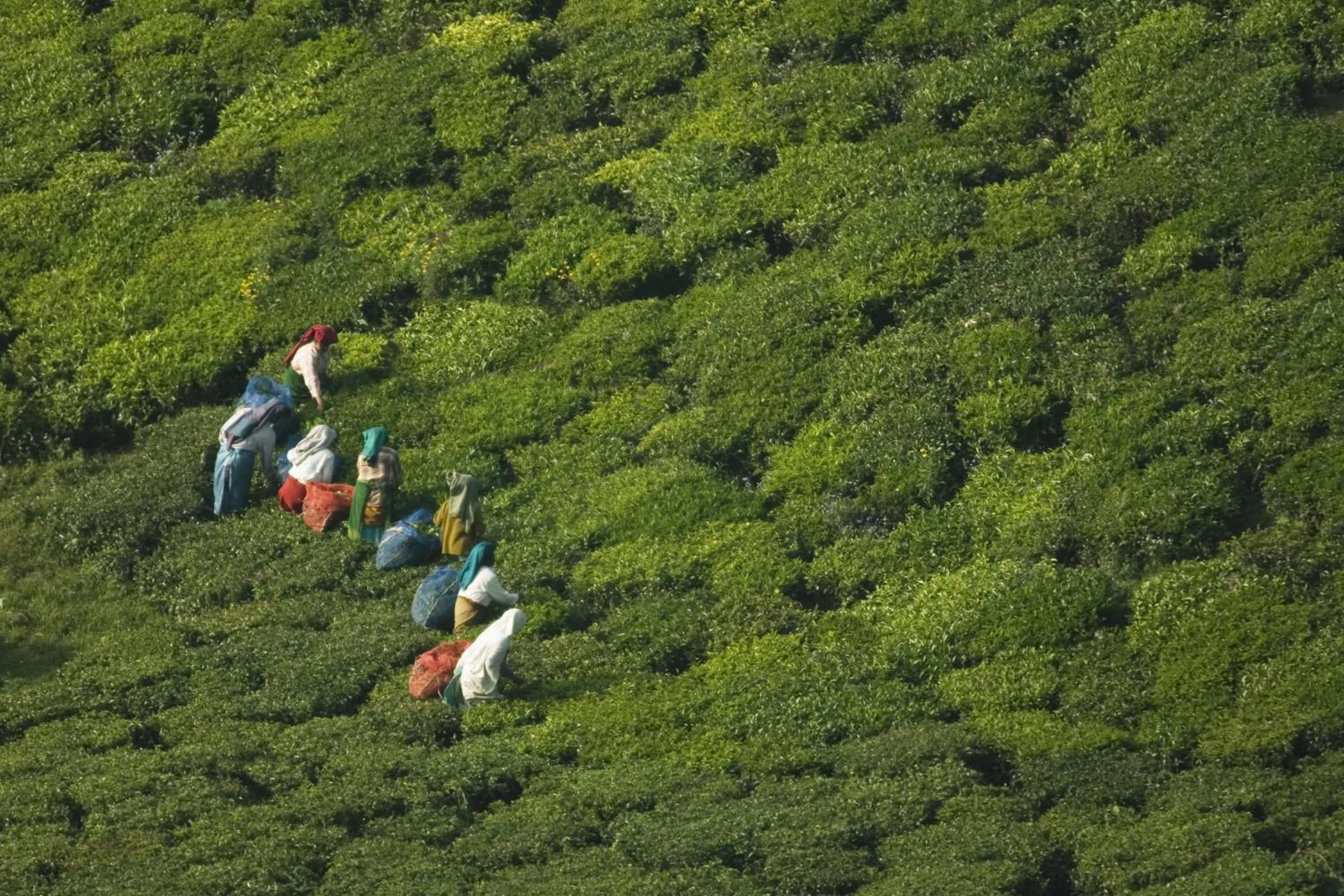 Natural landscape in Sabol Holidays