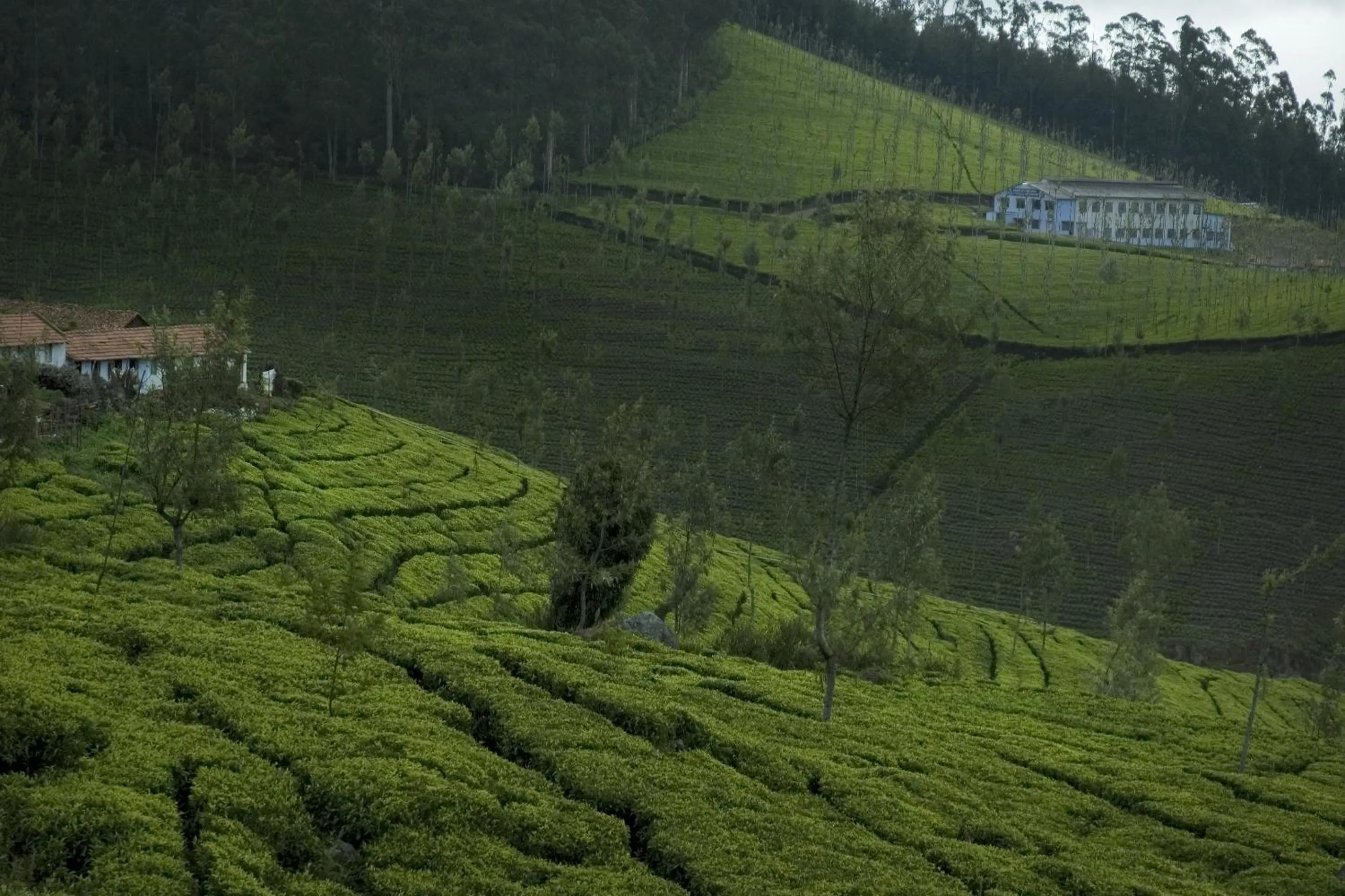 Natural landscape in Sabol Holidays