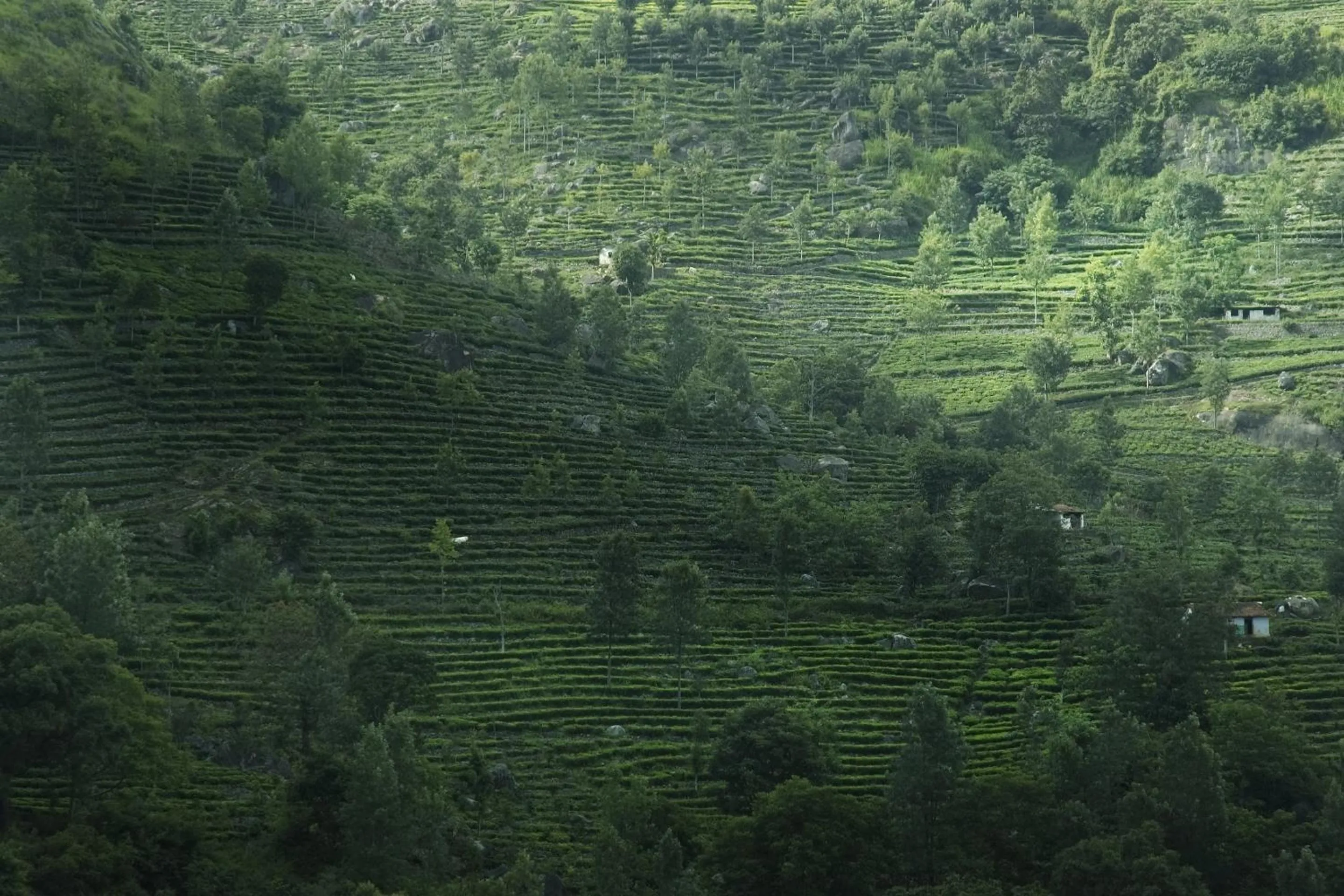 Natural landscape in Sabol Holidays